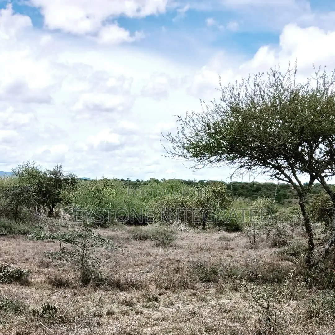 Land for Sale in Konza in Eselenkei