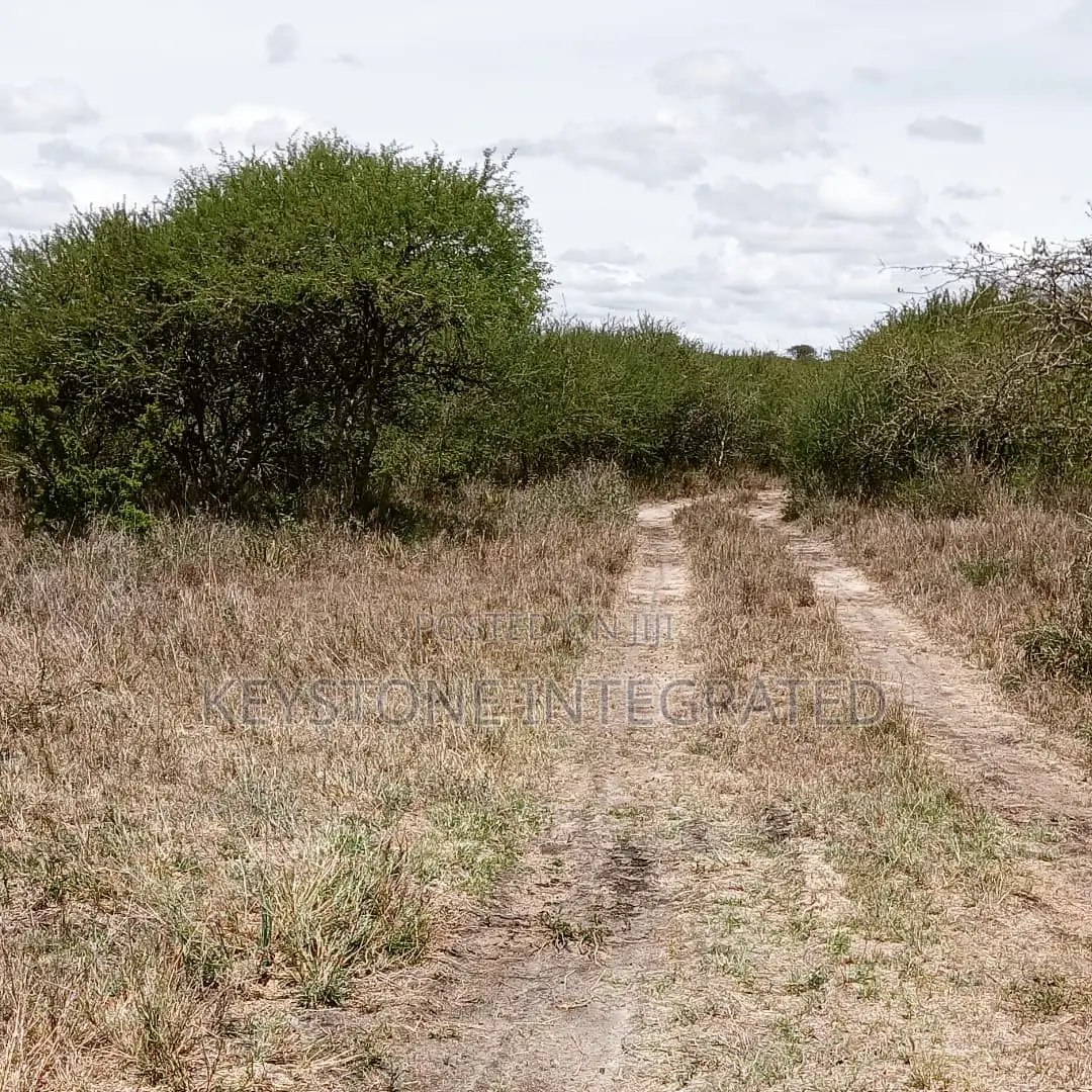 Land for Sale in Konza in Eselenkei