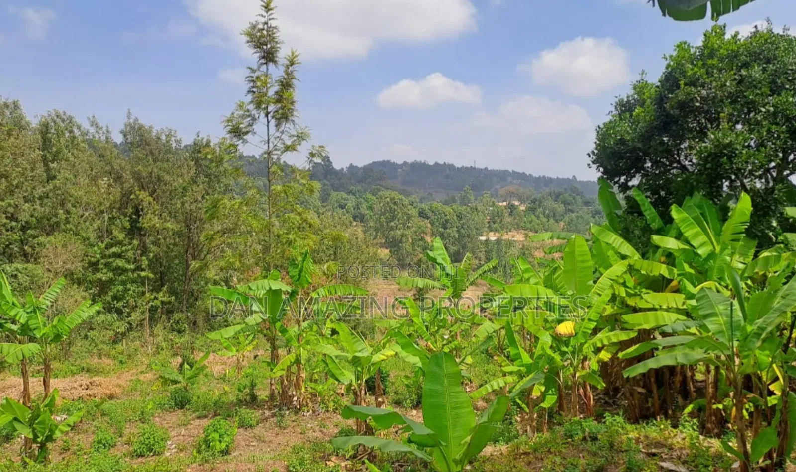 1 Acre Land for Sale in Ngong Matasia in a Gated Community in Matasia