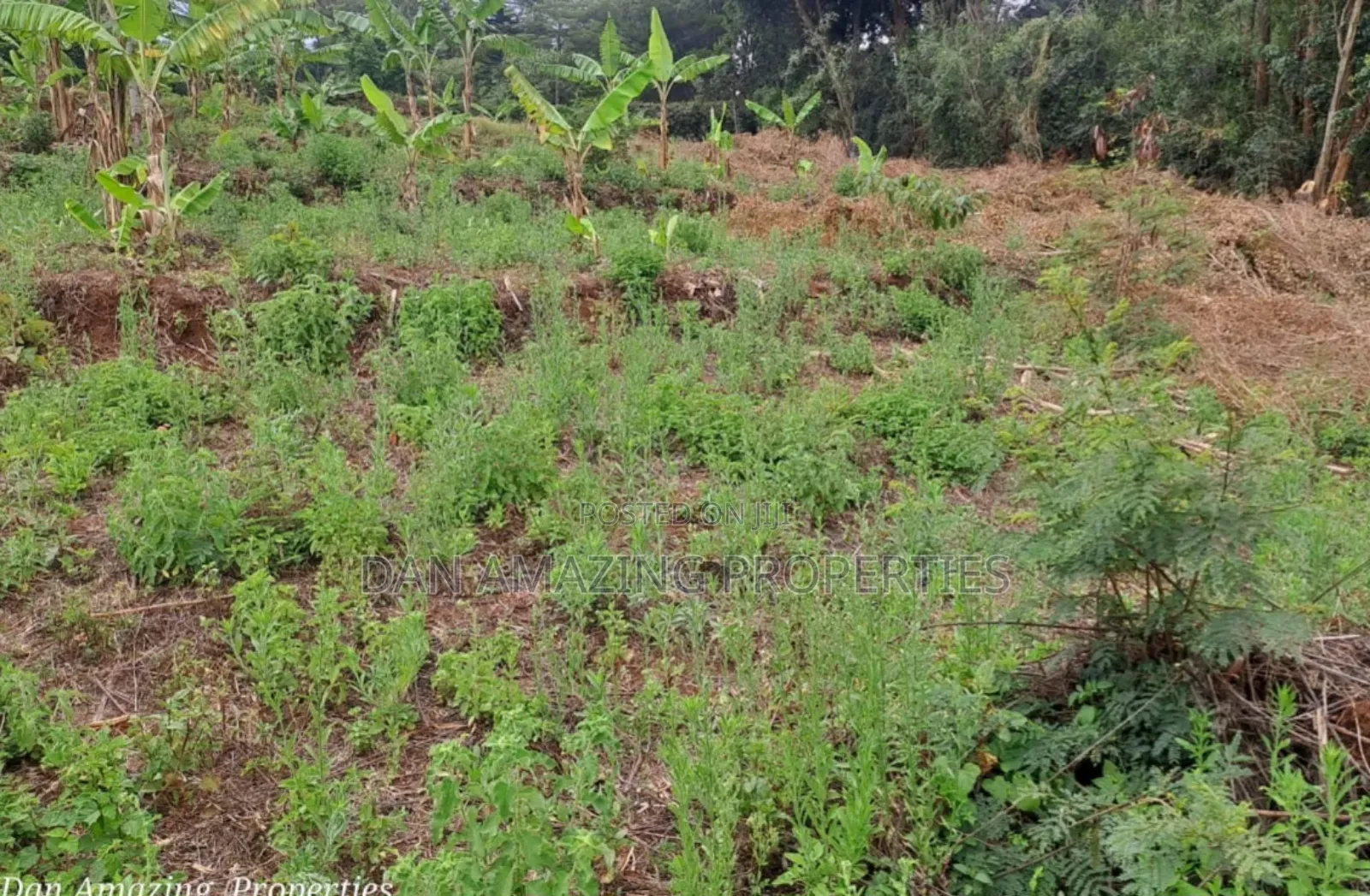1 Acre Land for Sale in Ngong Matasia in a Gated Community in Matasia