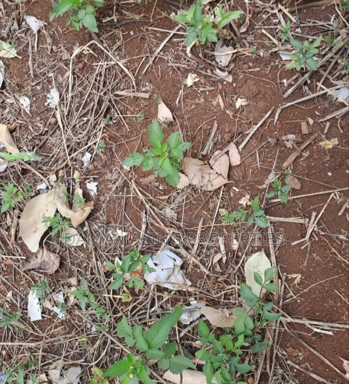 1 Acre Land for Sale in Ngong Matasia in a Gated Community in Matasia
