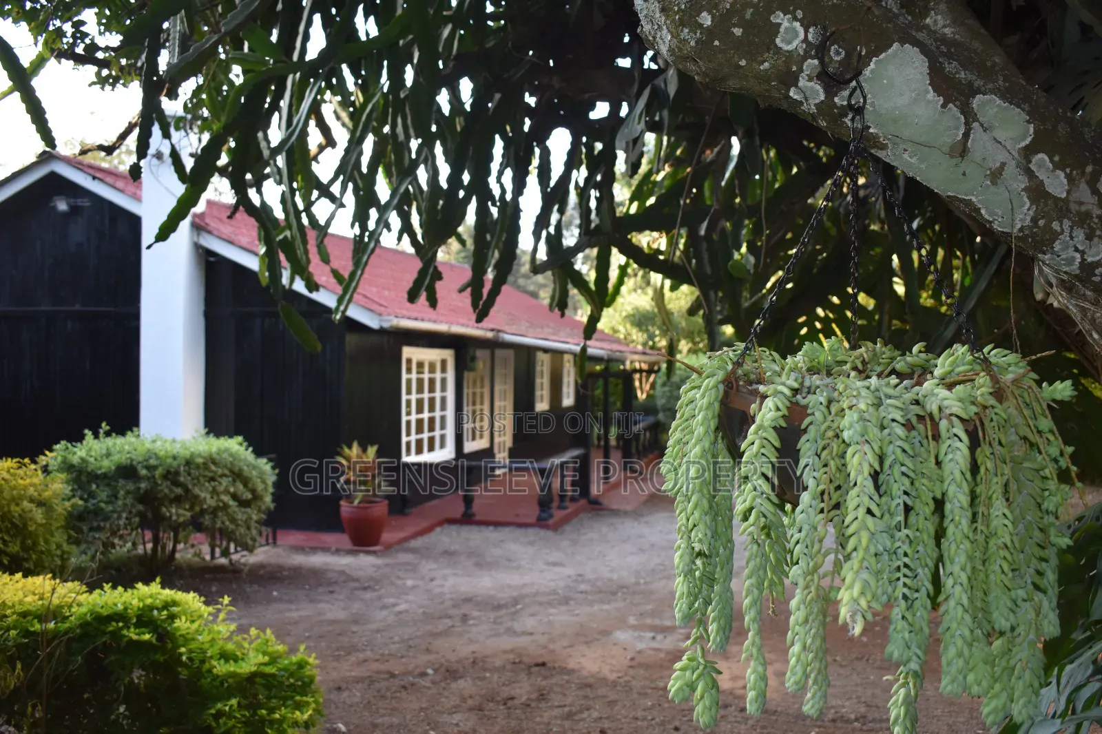3bdrm Bungalow in Karen for rent in Karen