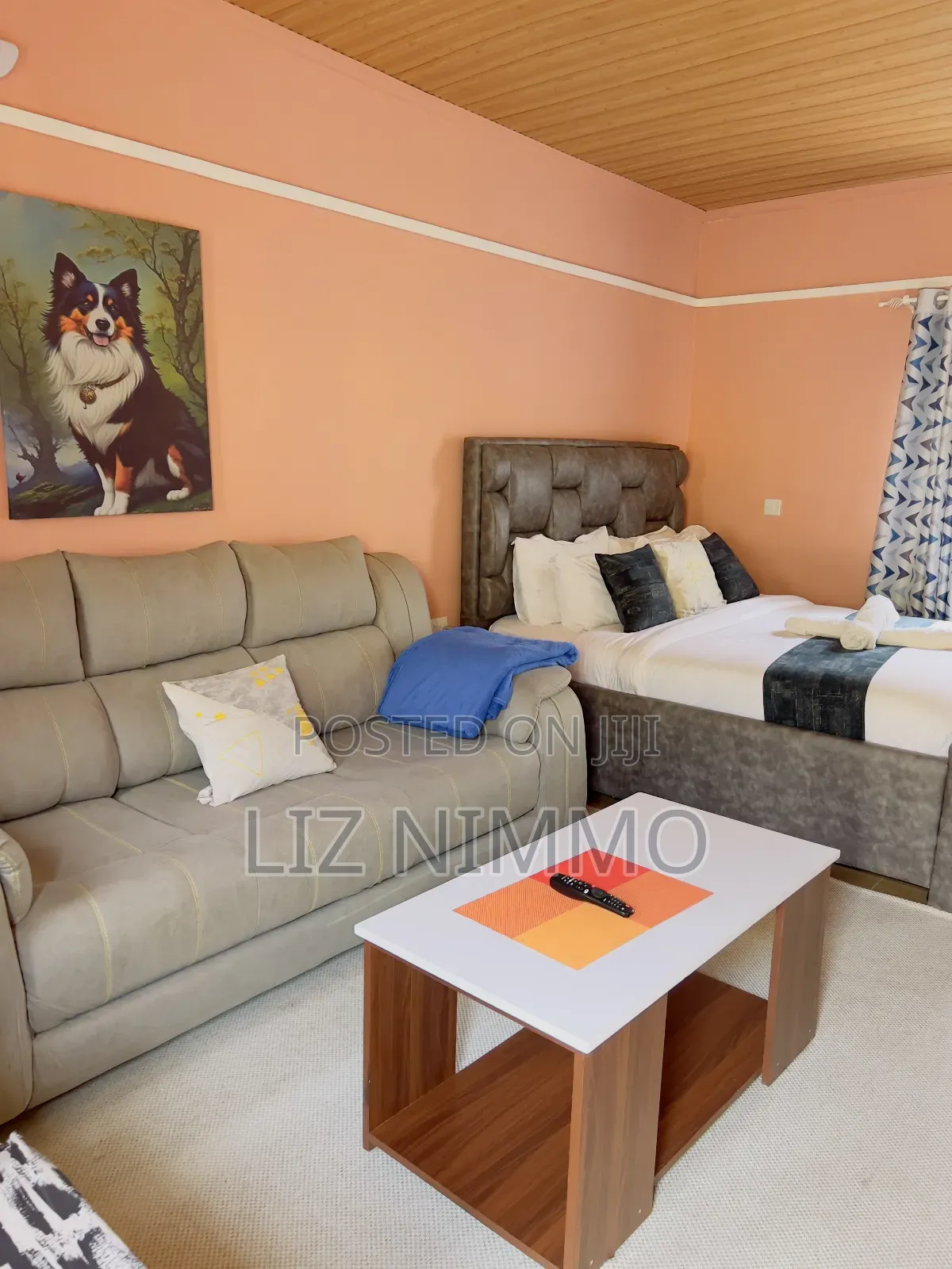 Fully Furnished Studios in Biashara