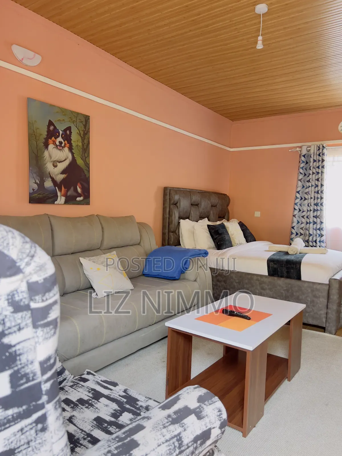 Fully Furnished Studios in Biashara