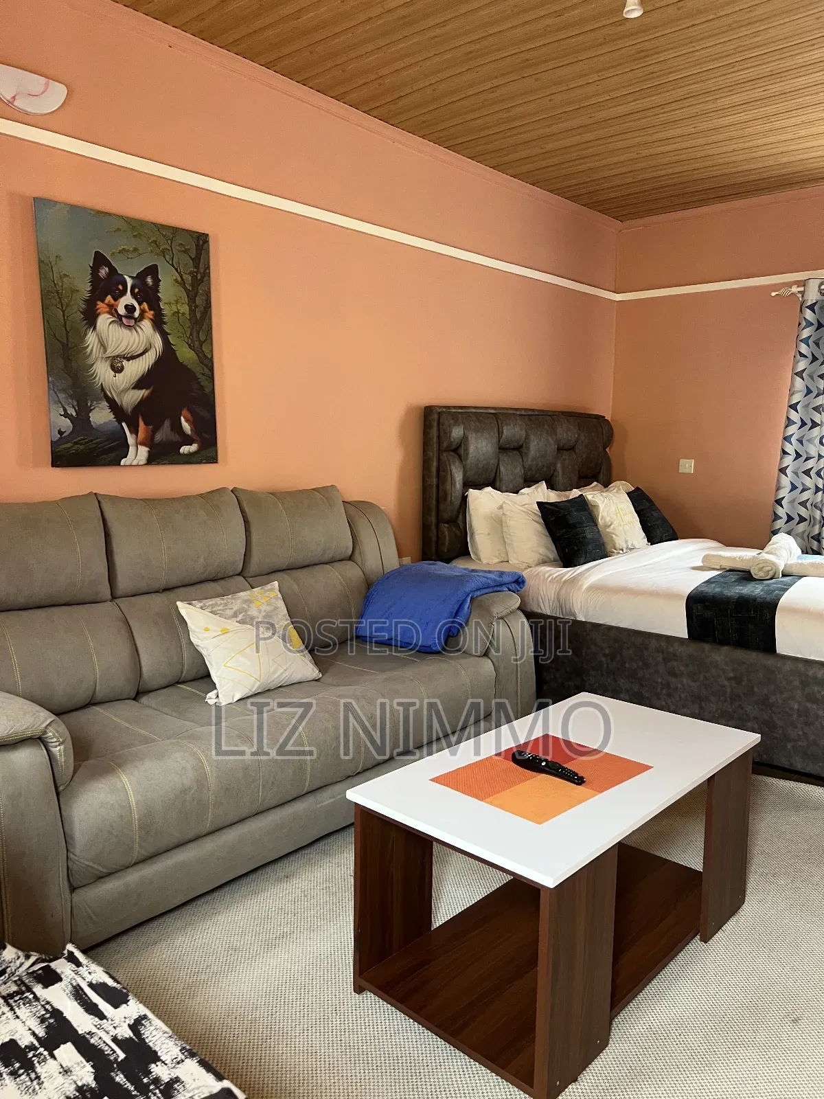 Fully Furnished Studios in Biashara