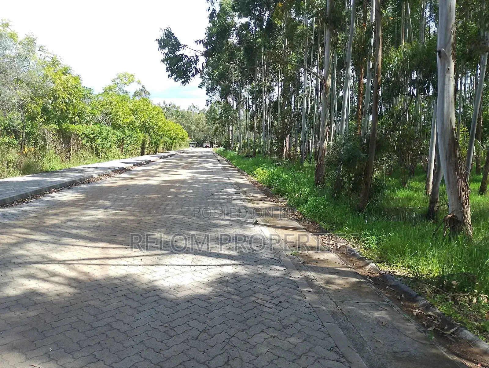 Prime Commercial 2 Acres for Sale, Karen in Karen