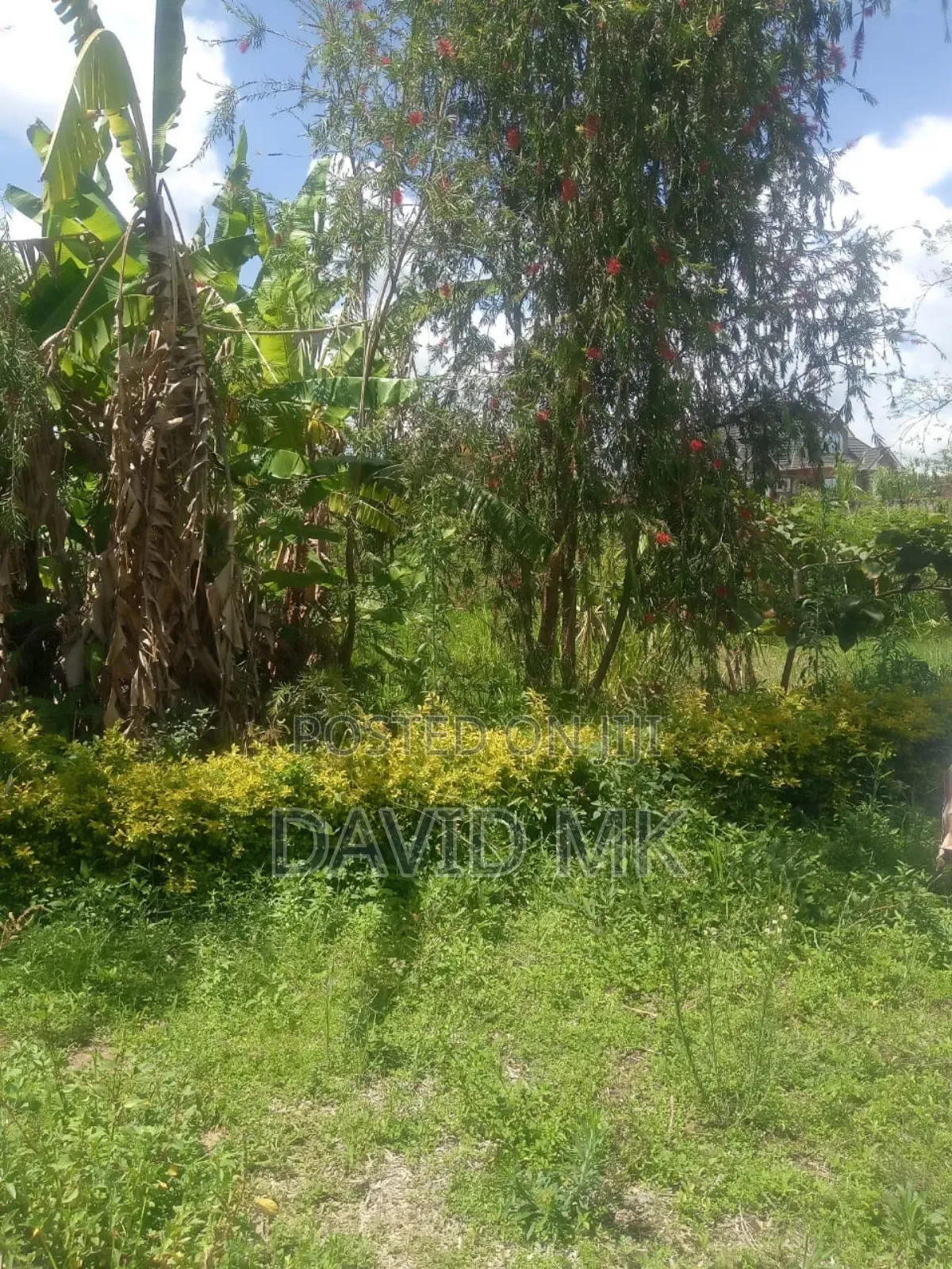 1/4 Plot Kahawa Sukari in Kahawa