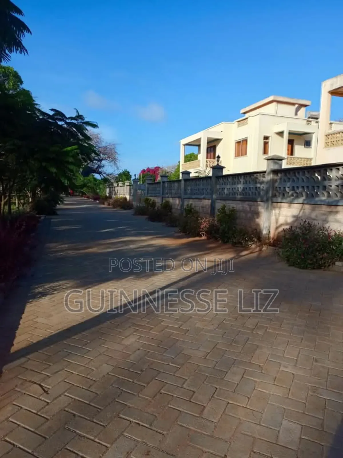 Kilifi Bofa in Sokoni