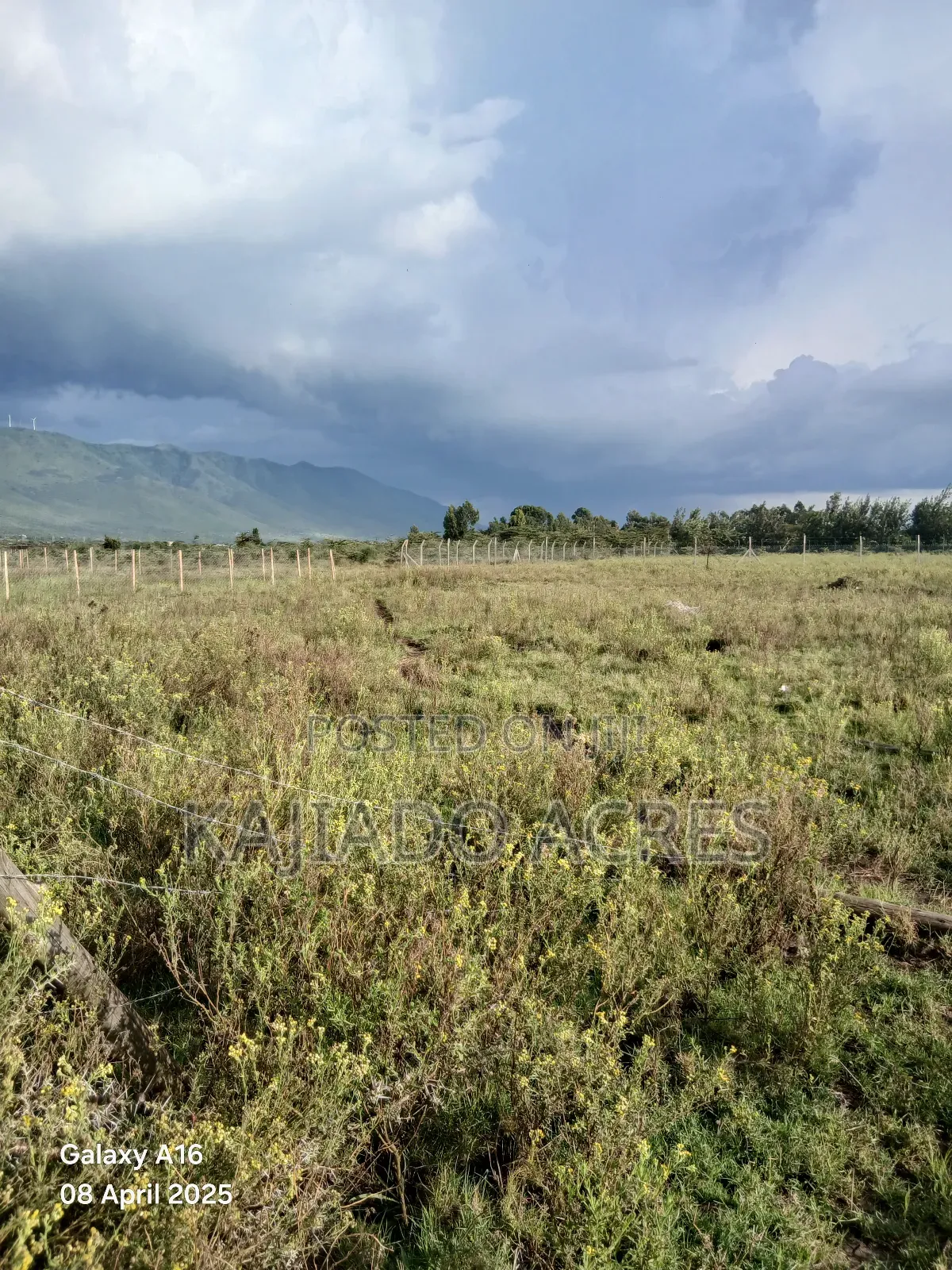 Prime 1/8 Acre Pieces Kimuka in Ngong