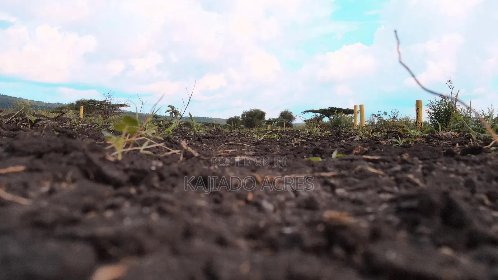 1/8 Acre Kisamis at in Kiserian