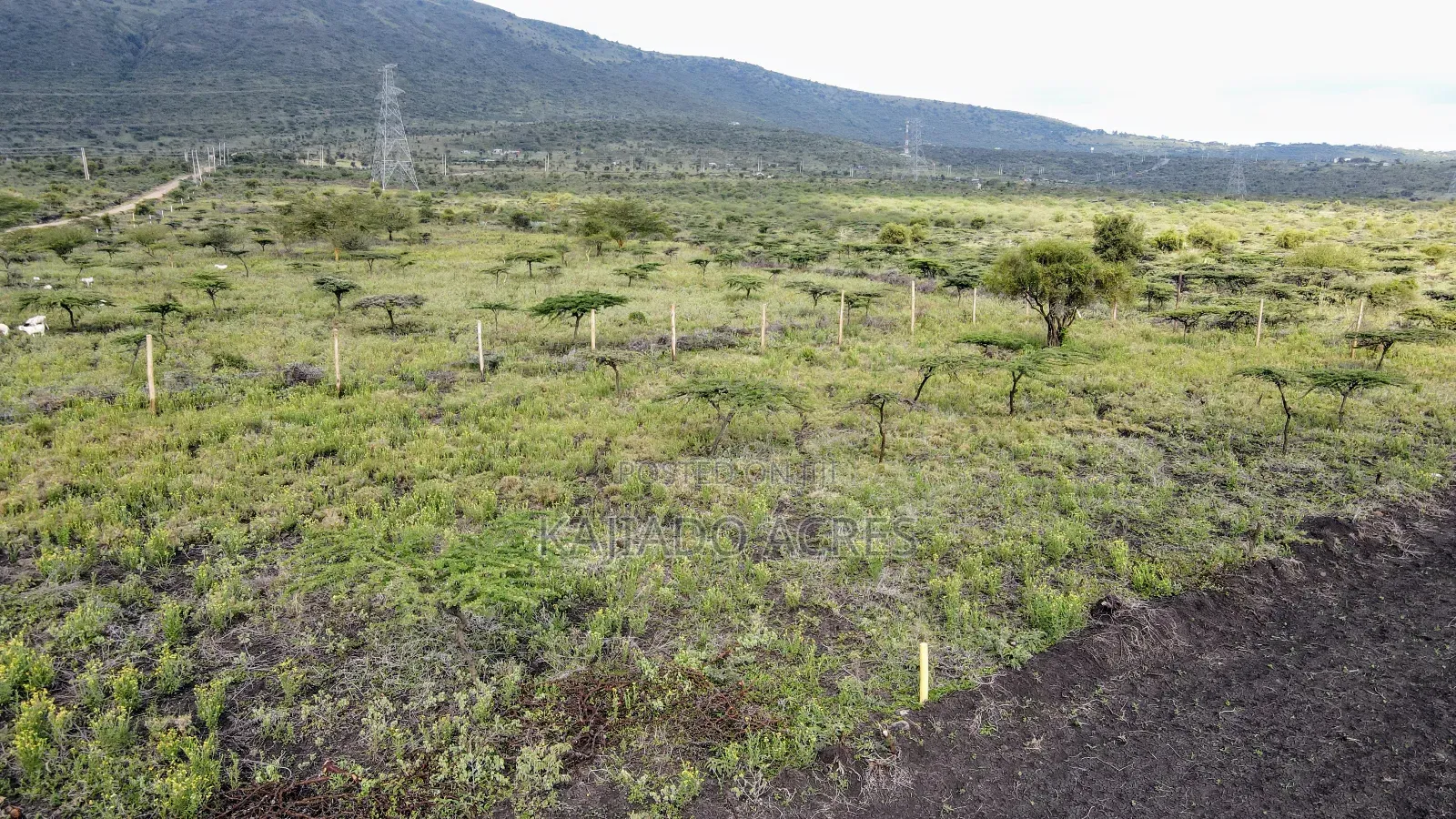 1/8 Acre Kisamis at in Kiserian