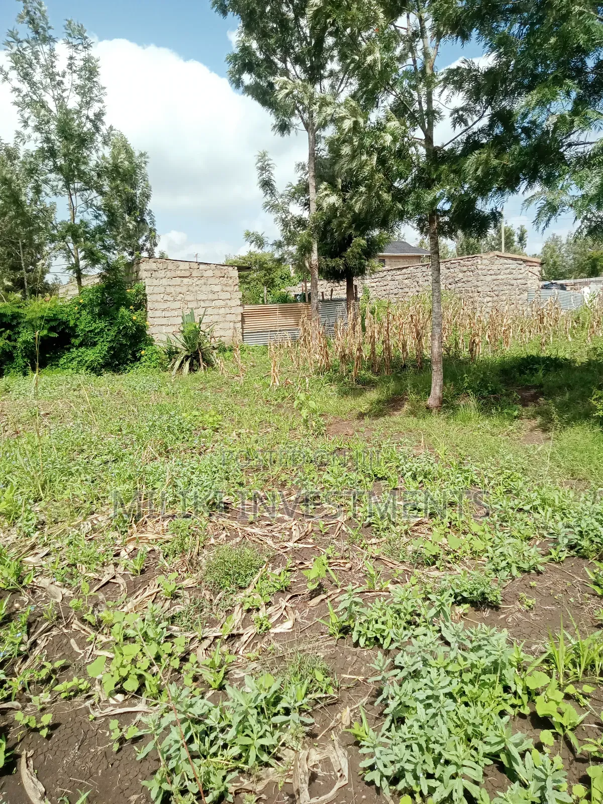 40 by 80 Plots on Sale at Kabati-CCF Area in Kimorori/Wempa