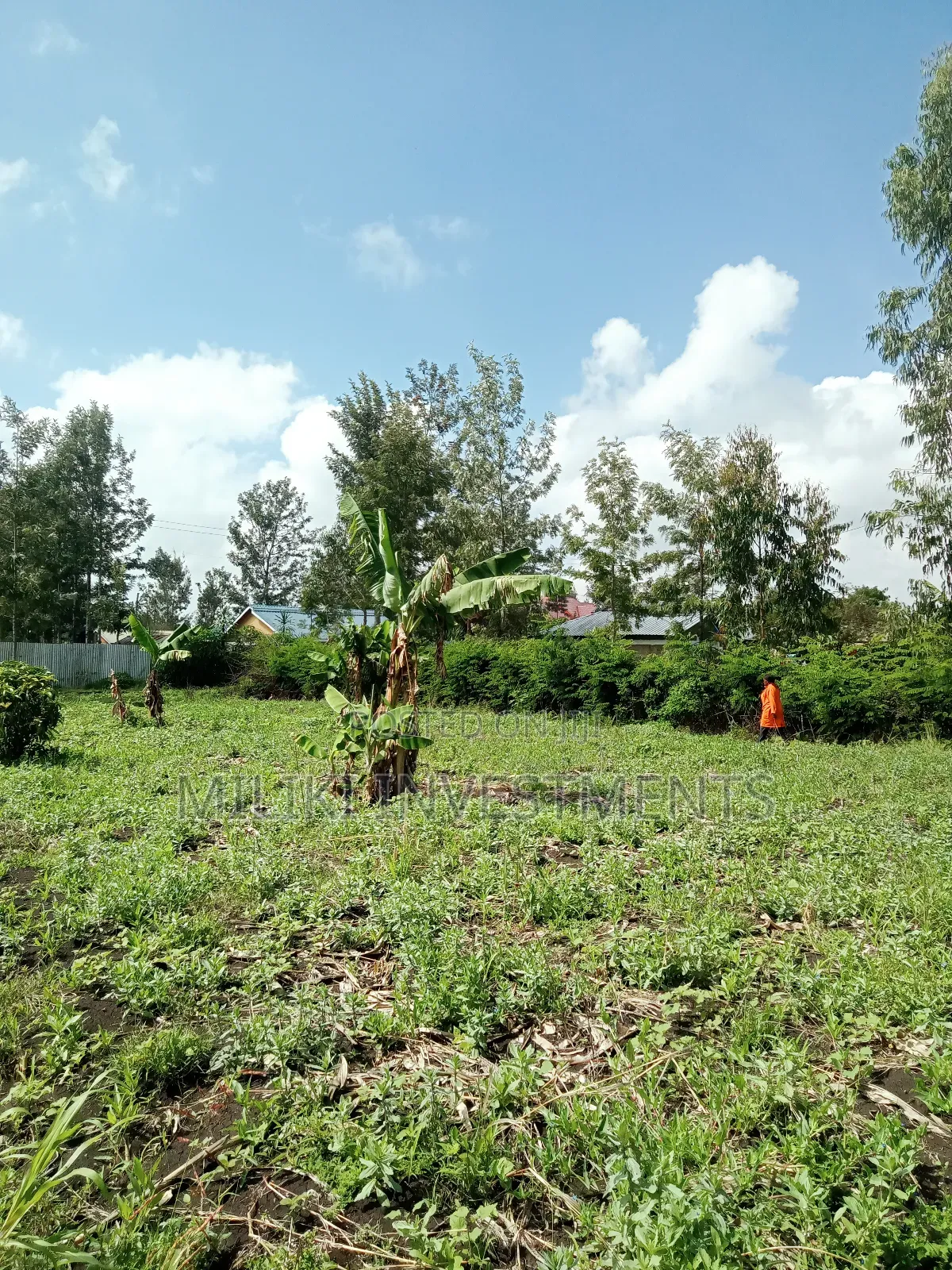 40 by 80 Plots on Sale at Kabati-CCF Area in Kimorori/Wempa