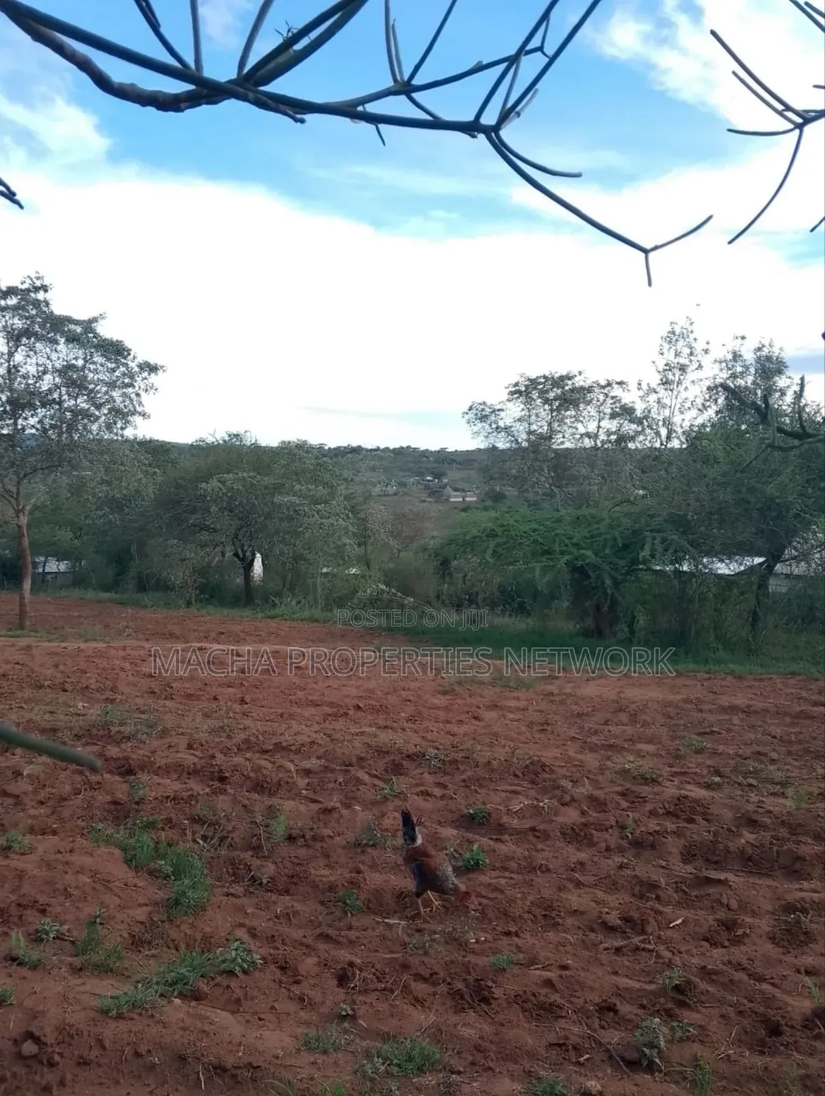 1acre Machakos -Kwamwau -Mikuyu-Red Soil in Machakos Town