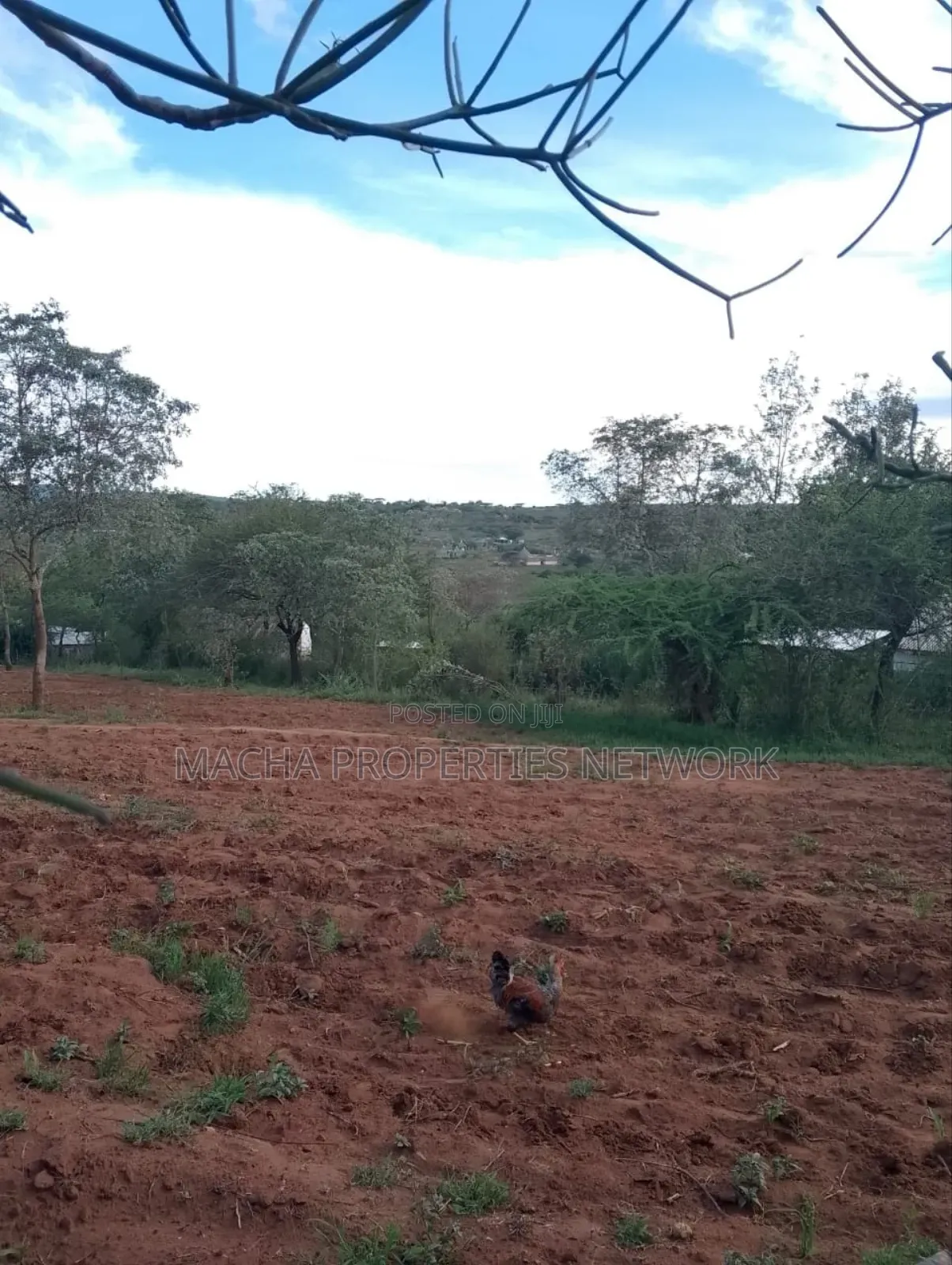 1acre Machakos -Kwamwau -Mikuyu-Red Soil in Machakos Town