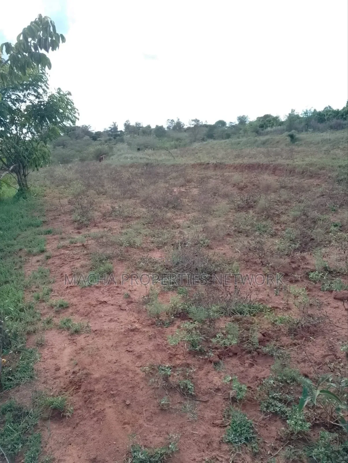 1acre Machakos -Kwamwau -Mikuyu-Red Soil in Machakos Town