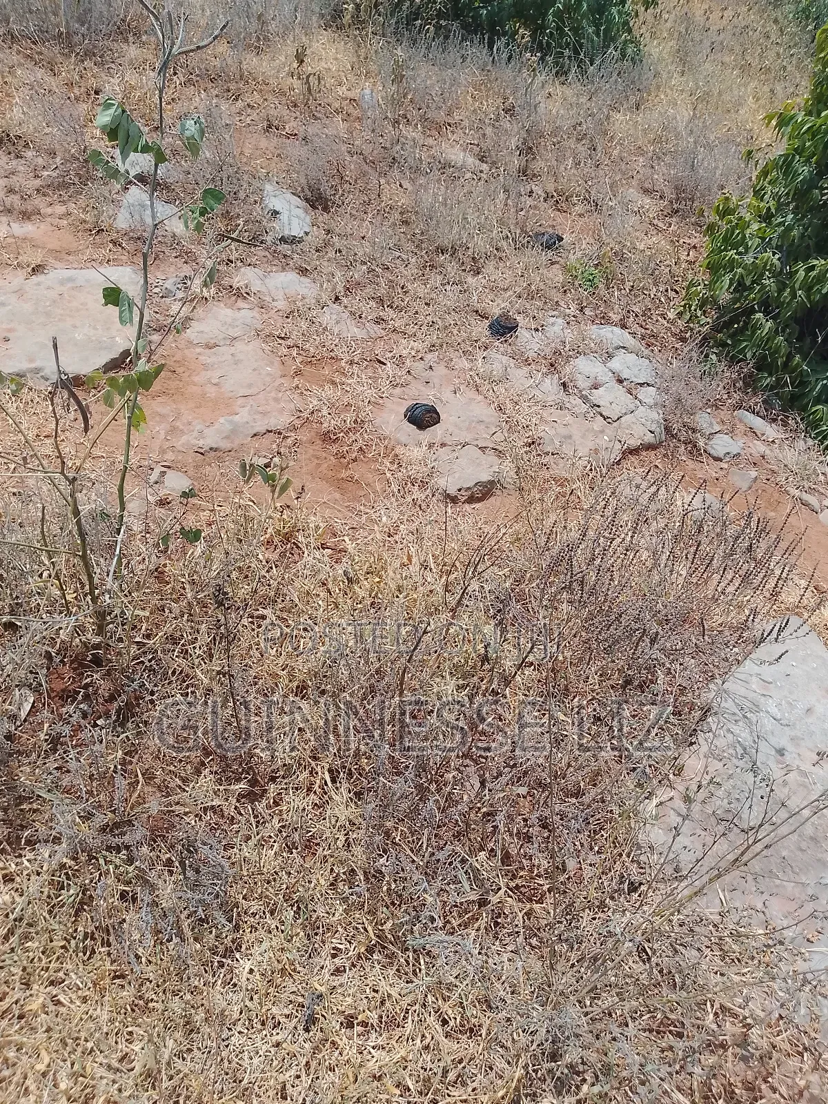 Jaribuni Ballast Land for Sale Kilifi County in Sokoni