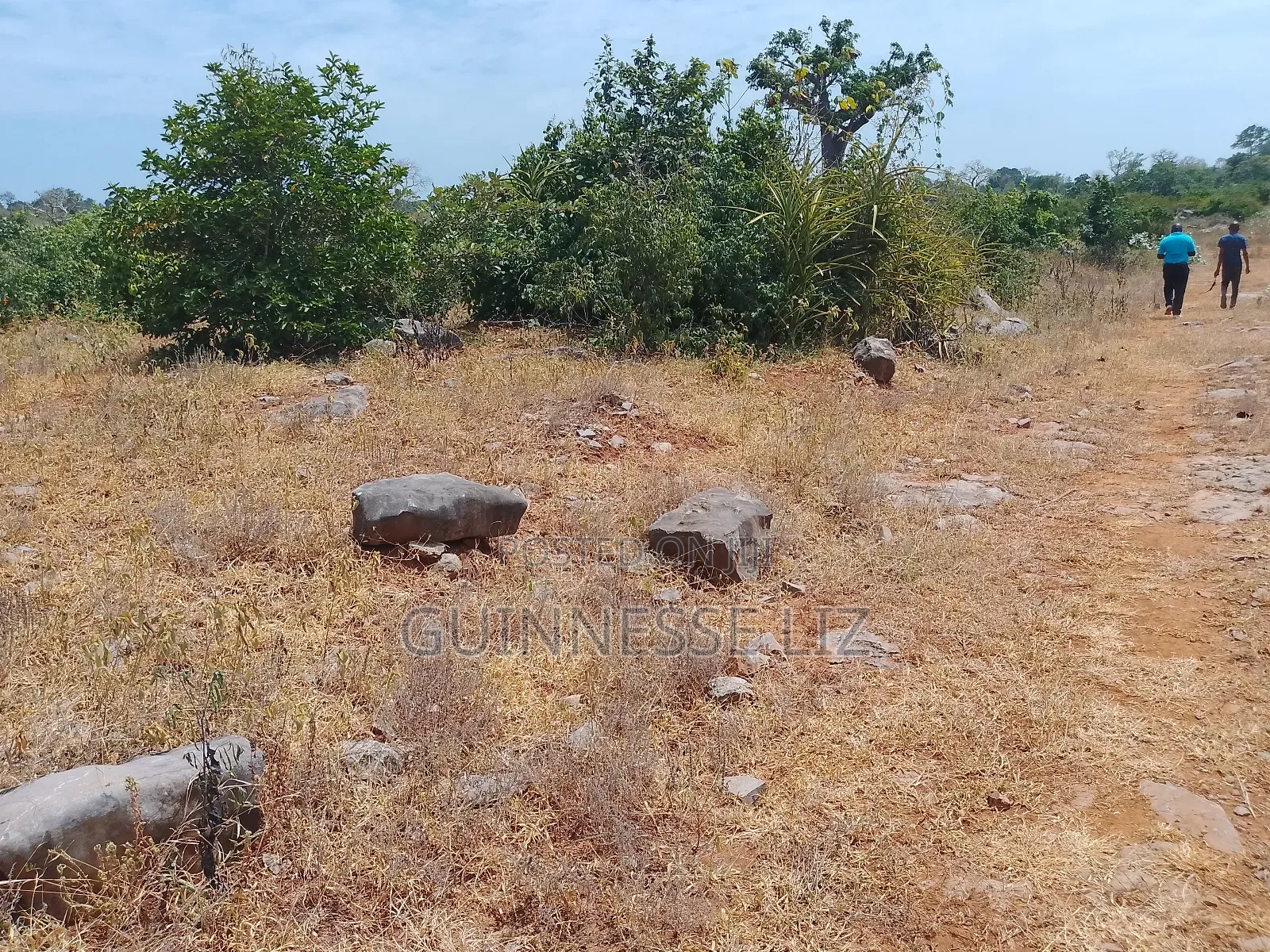 Jaribuni Ballast Land for Sale Kilifi County in Sokoni