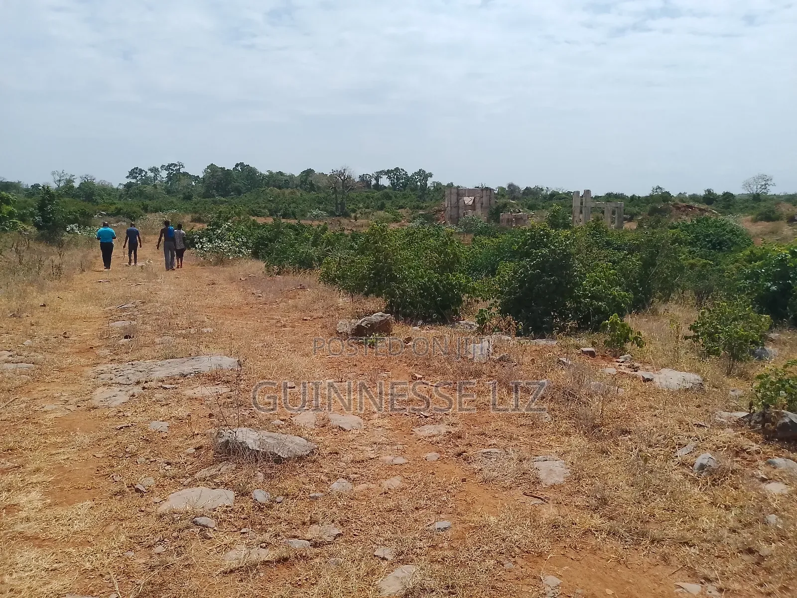 Jaribuni Ballast Land for Sale Kilifi County in Sokoni