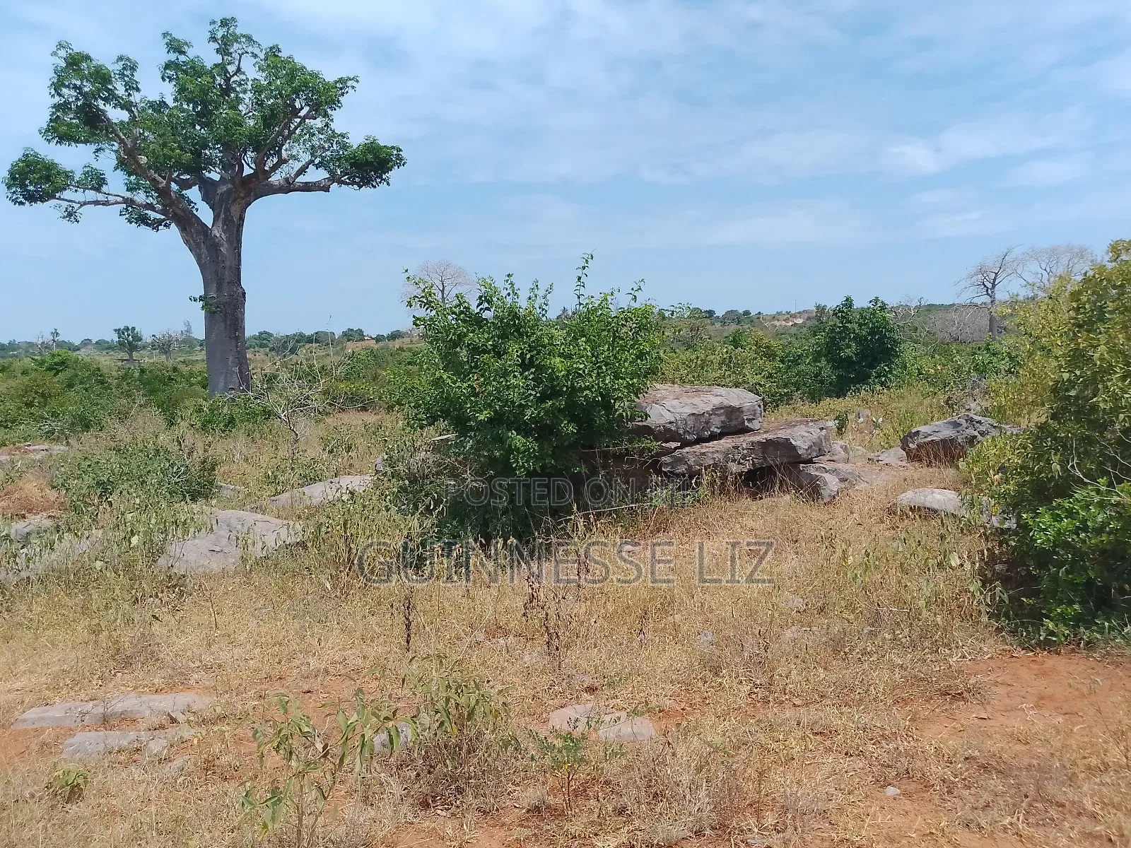 Jaribuni Ballast Land for Sale Kilifi County in Sokoni