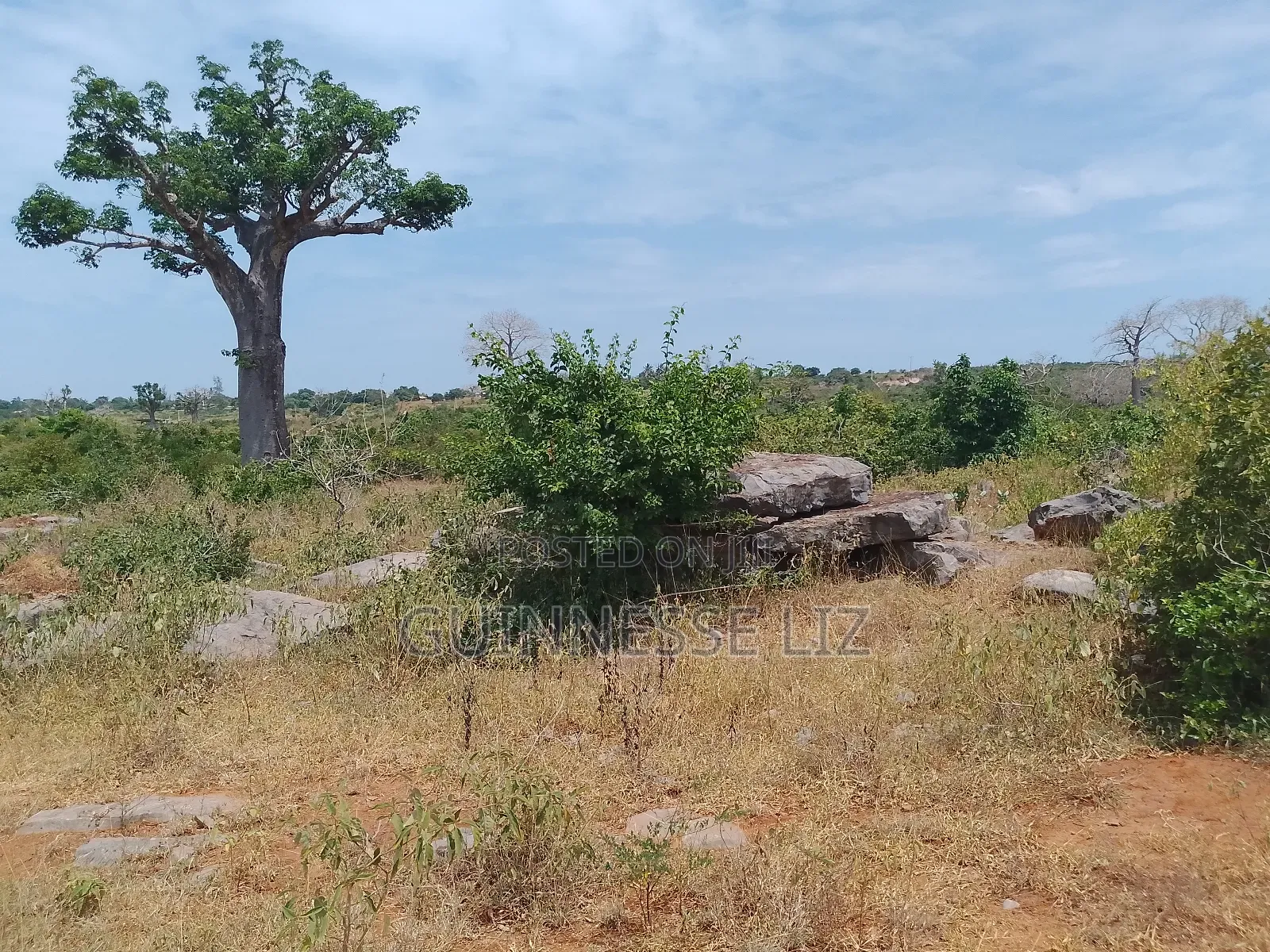 Jaribuni Ballast Land for Sale Kilifi County in Sokoni