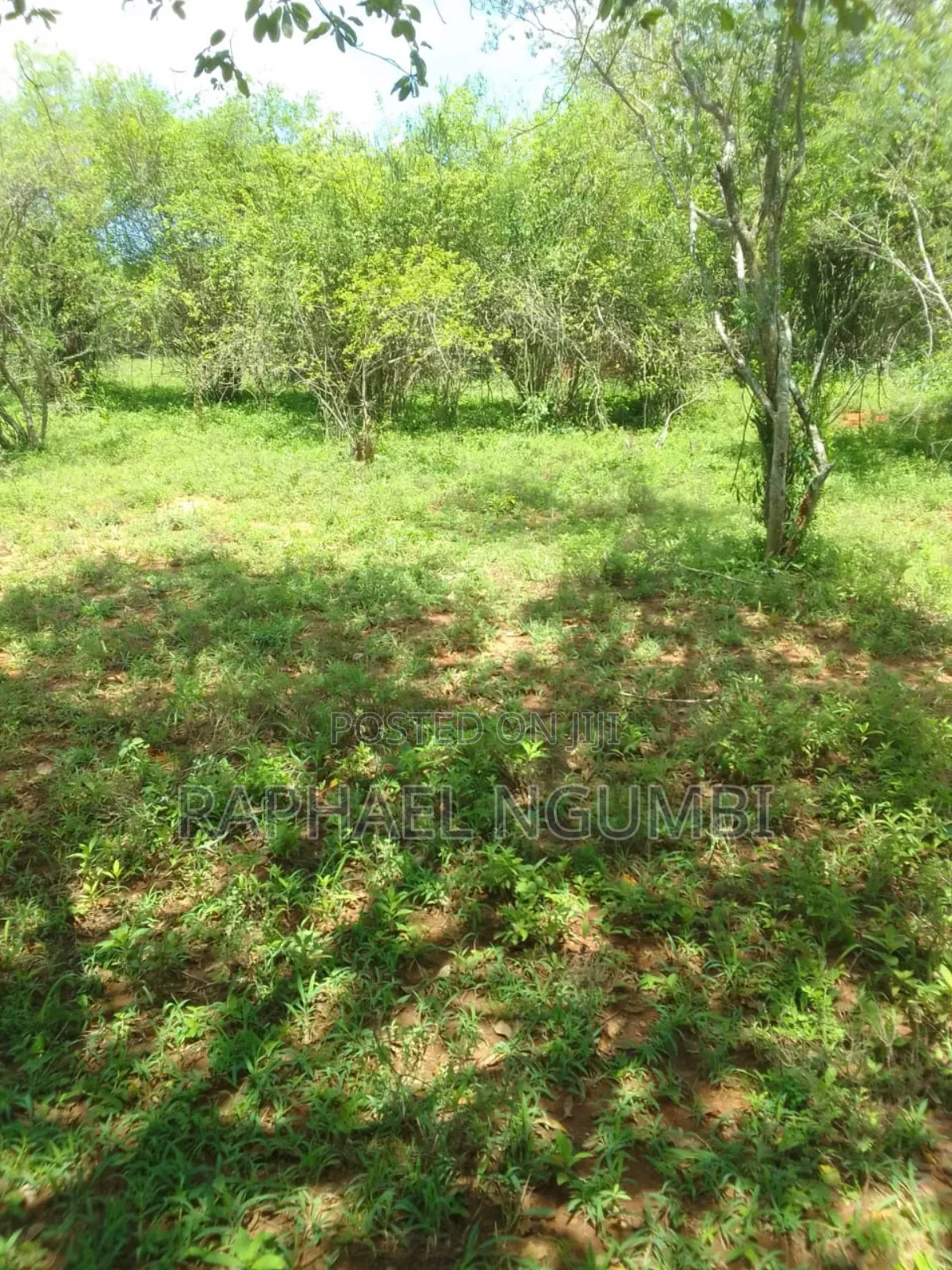 Land for Sale in Mwala