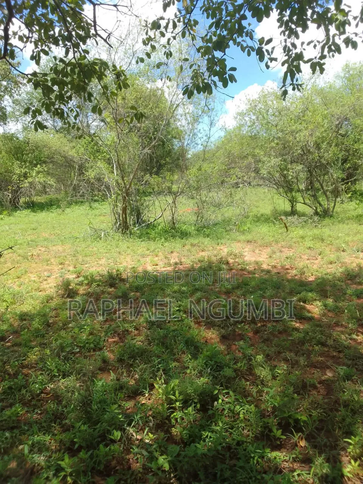 Land for Sale in Mwala