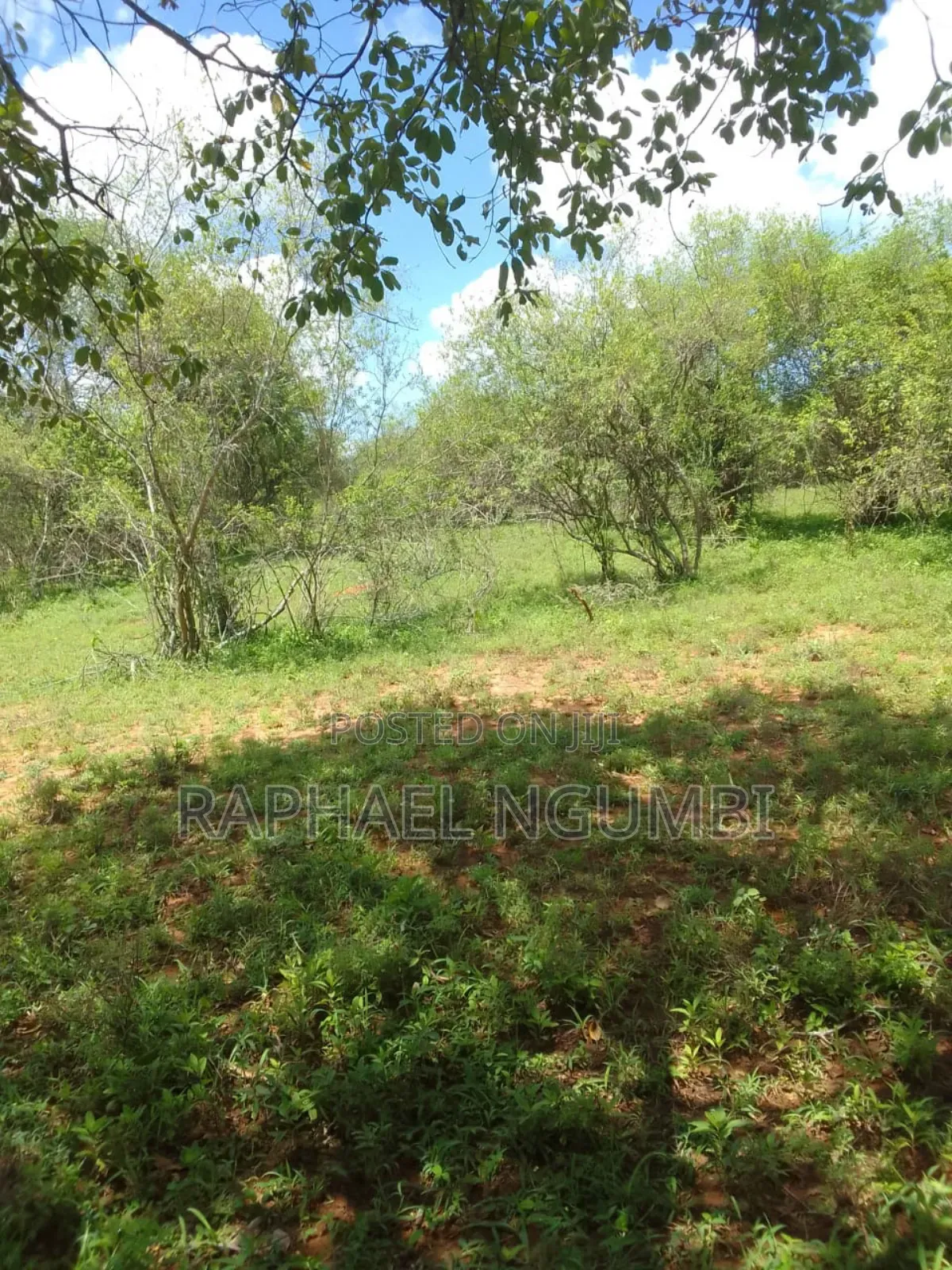 Land for Sale in Mwala