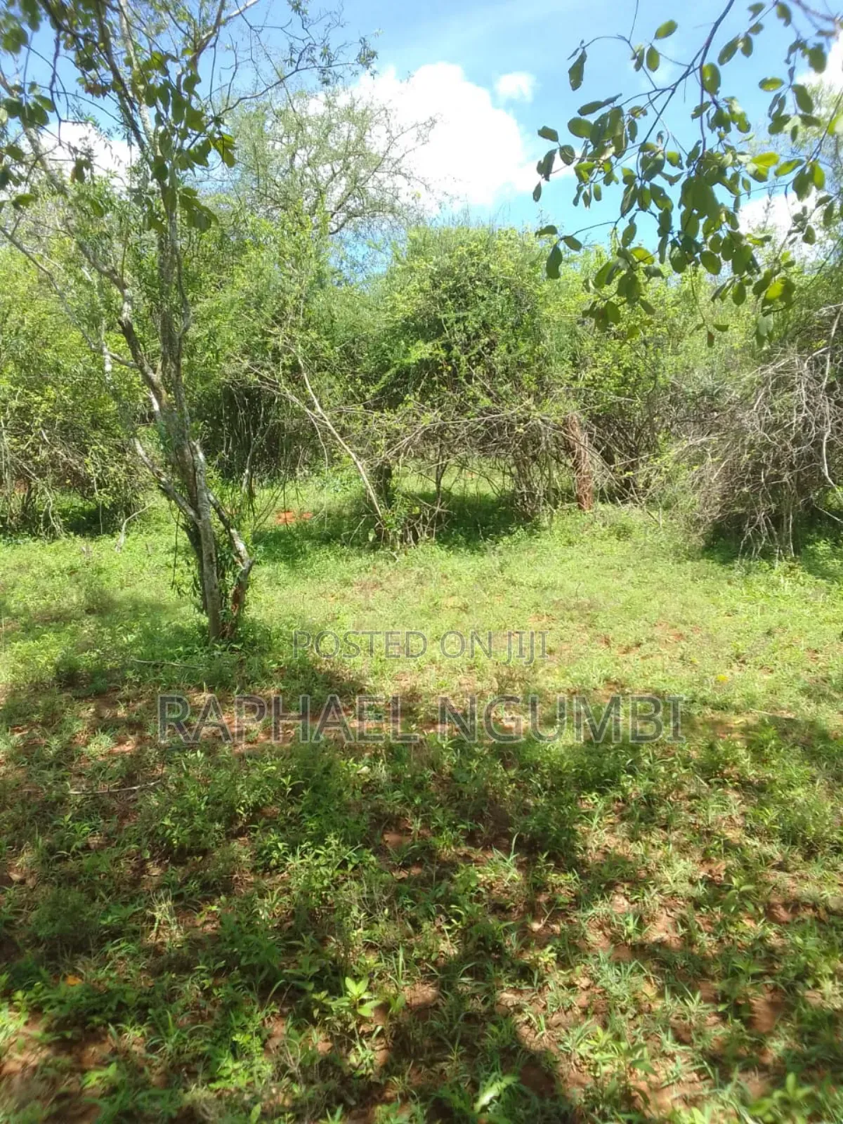 Land for Sale in Mwala