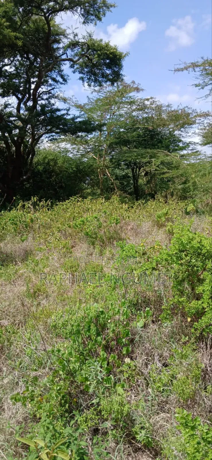 Twenty Two (22) Acres Mwala Kyawango in Mwala