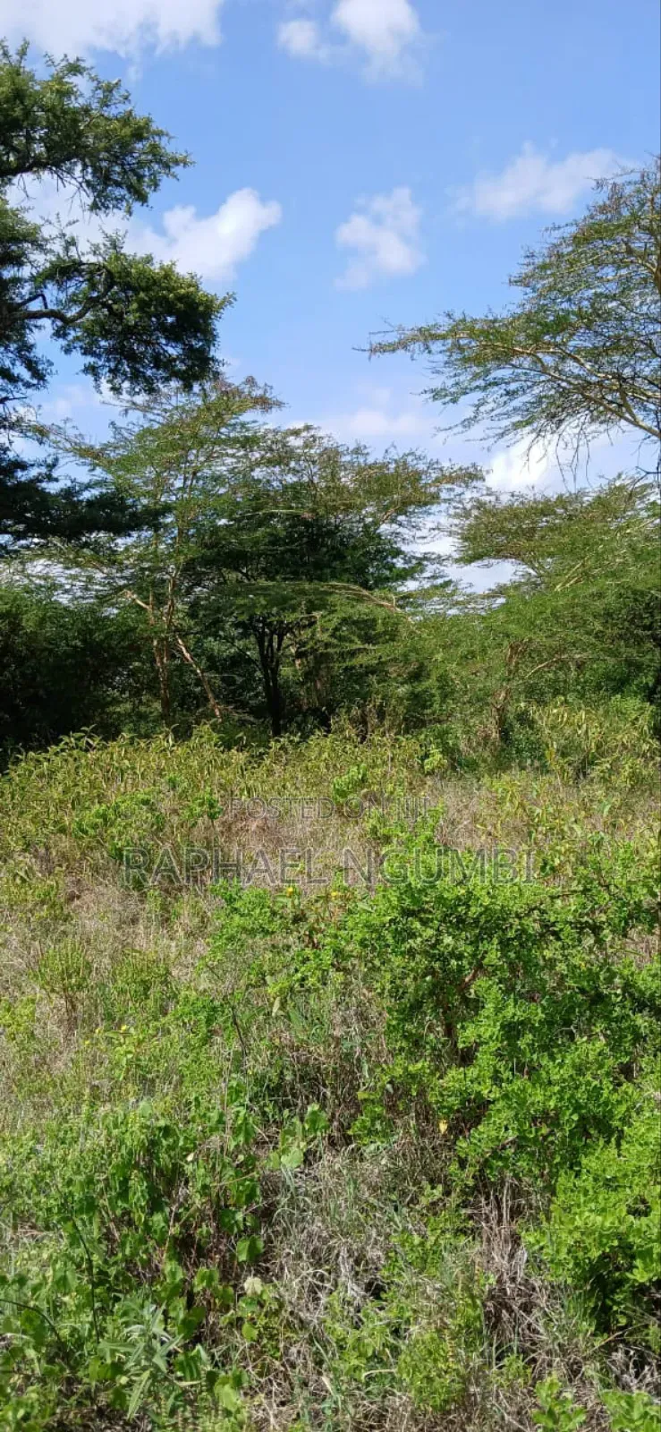 Twenty Two (22) Acres Mwala Kyawango in Mwala