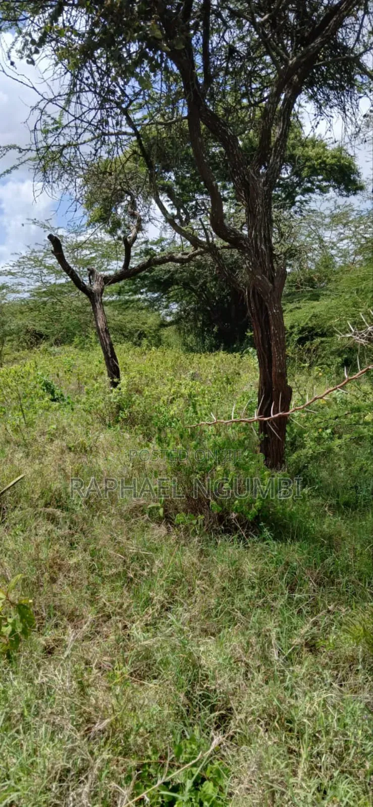 Twenty Two (22) Acres Mwala Kyawango in Mwala