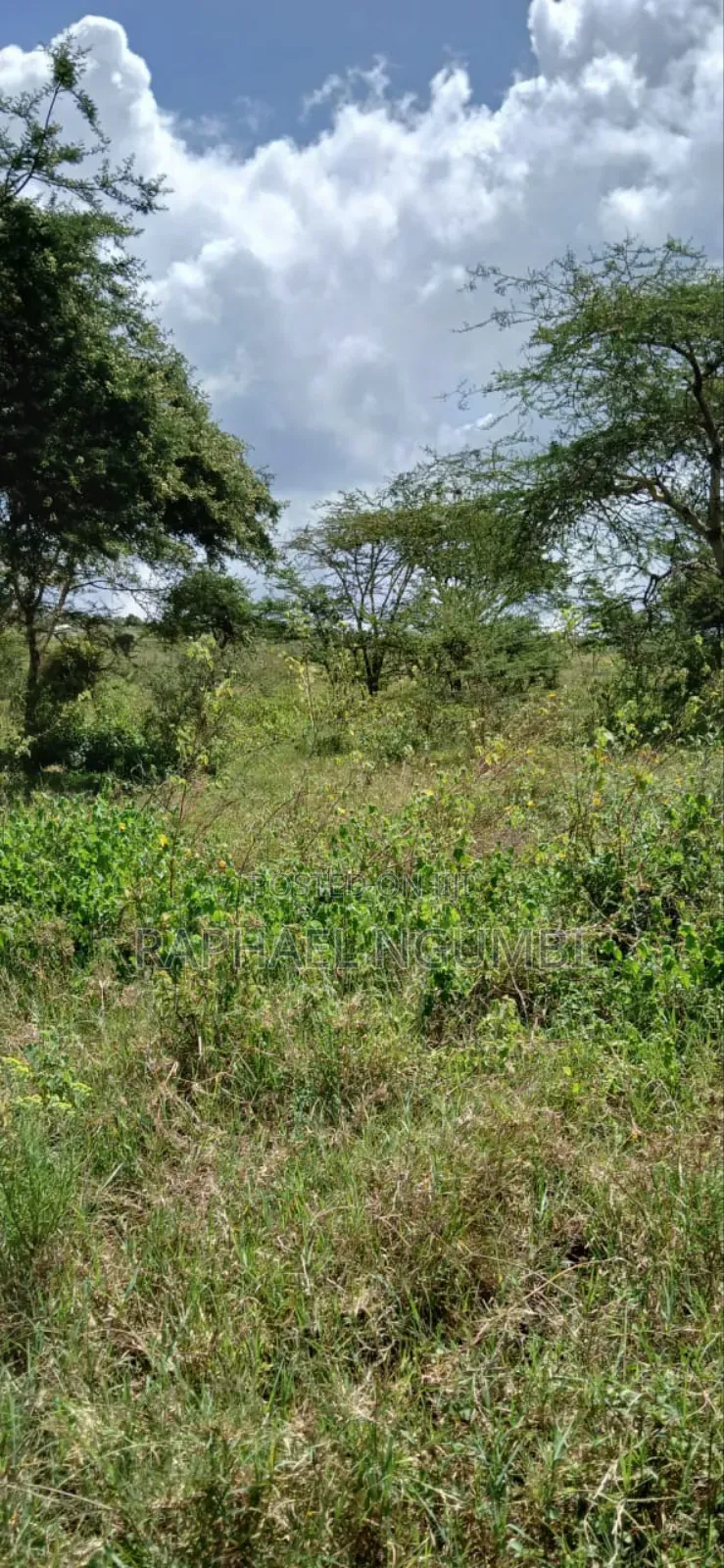 Twenty Two (22) Acres Mwala Kyawango in Mwala