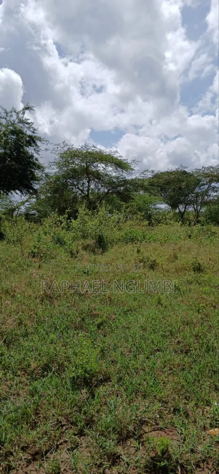 Twenty Two (22) Acres Mwala Kyawango in Mwala