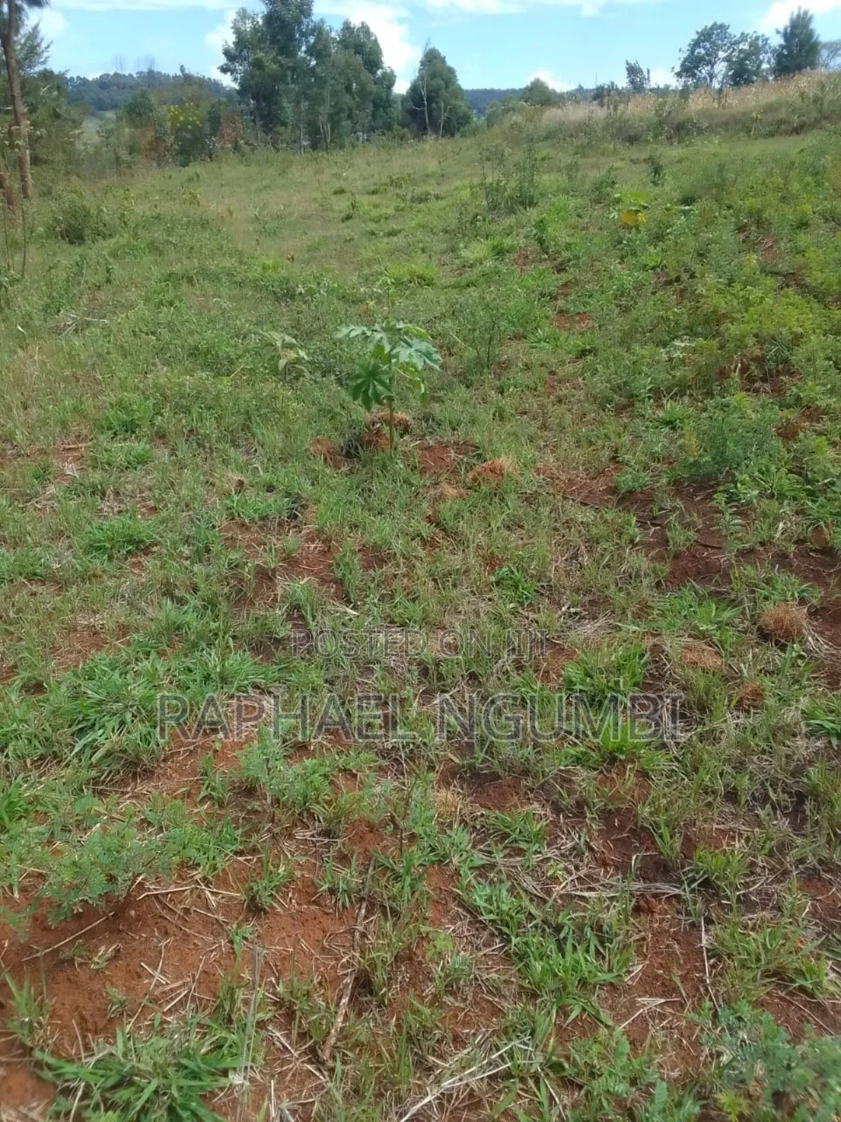 One (1) Acre Mua Kitanga Machakos County. in Mua