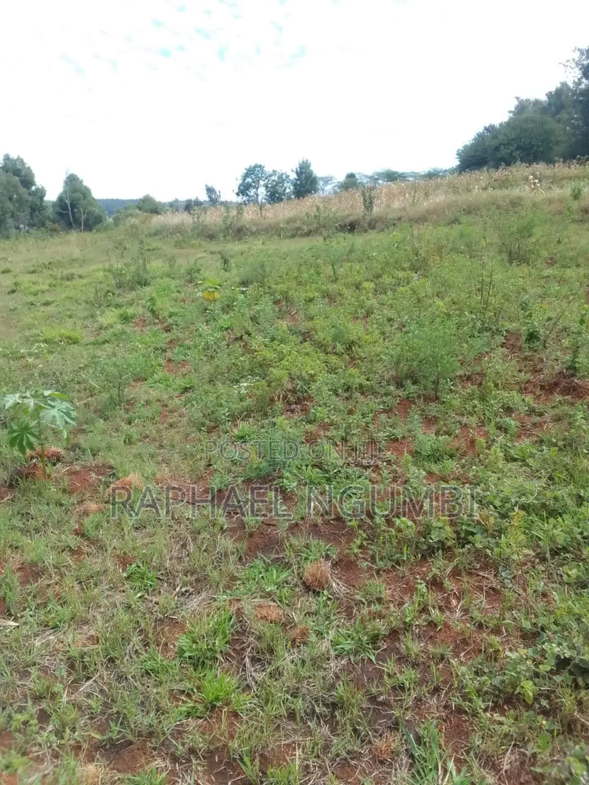 One (1) Acre Mua Kitanga Machakos County. in Mua