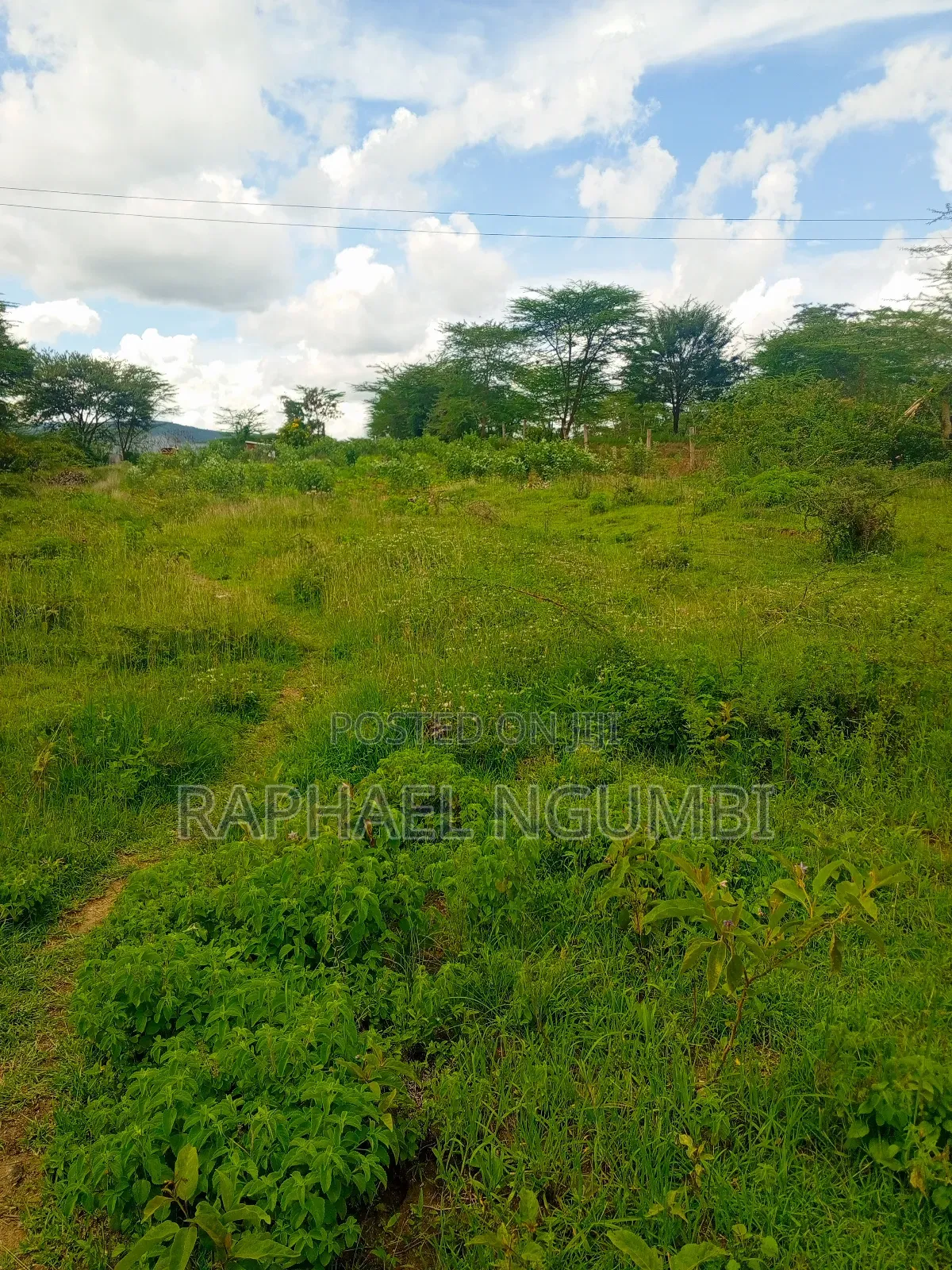 50*100 Plots Machakos Town in Machakos Town