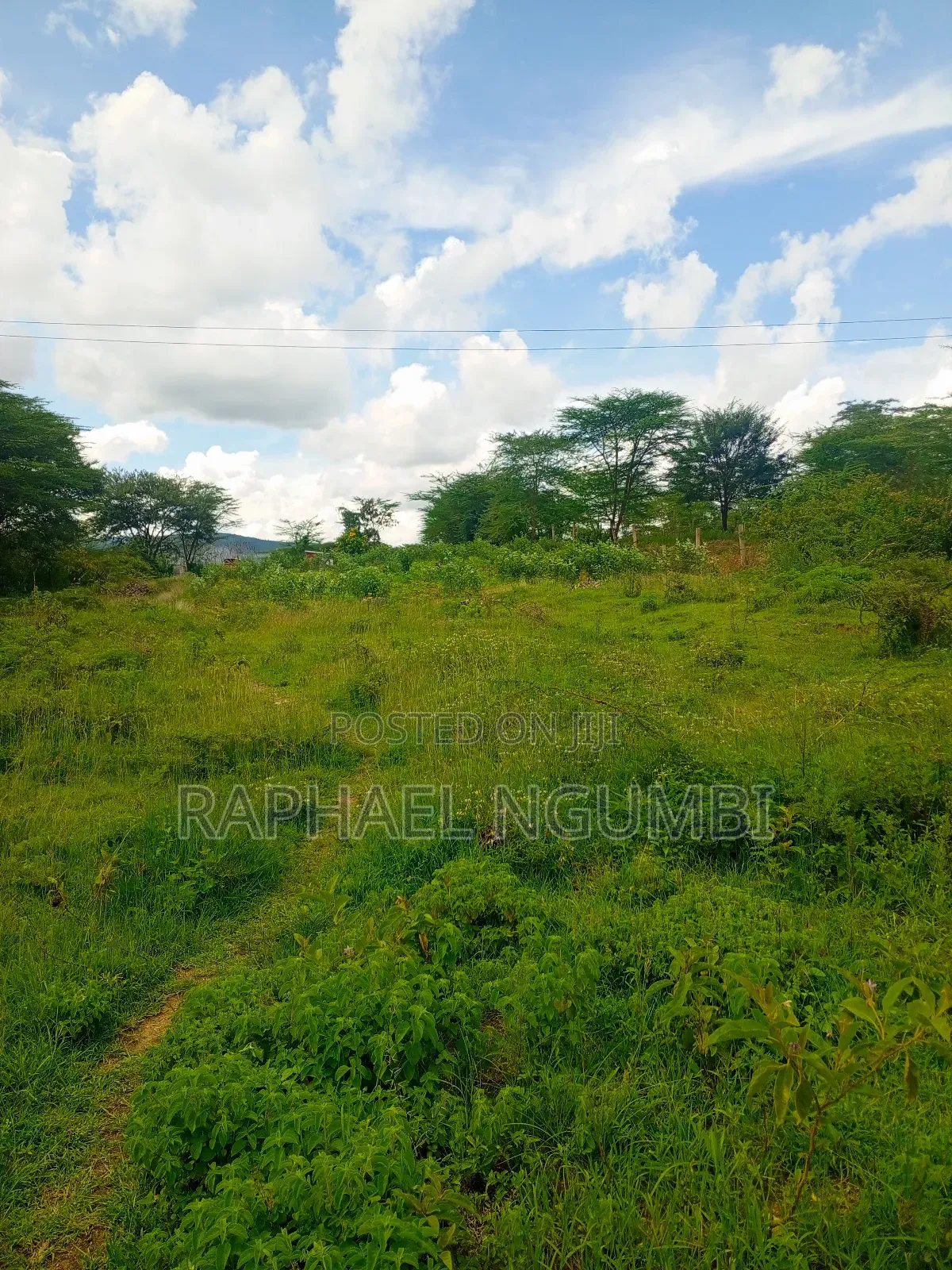 50*100 Plots Machakos Town in Machakos Town