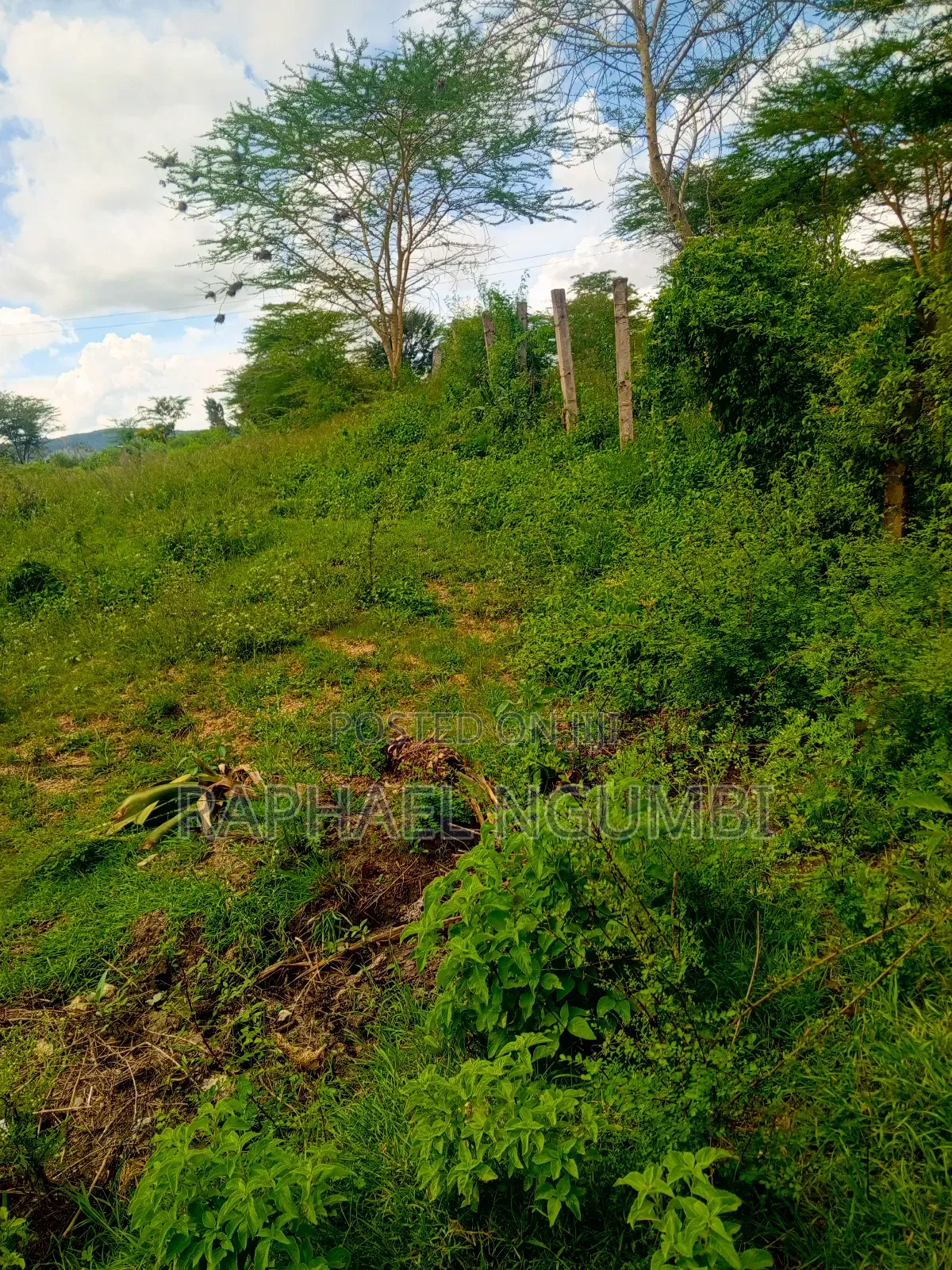 50*100 Plots Machakos Town in Machakos Town