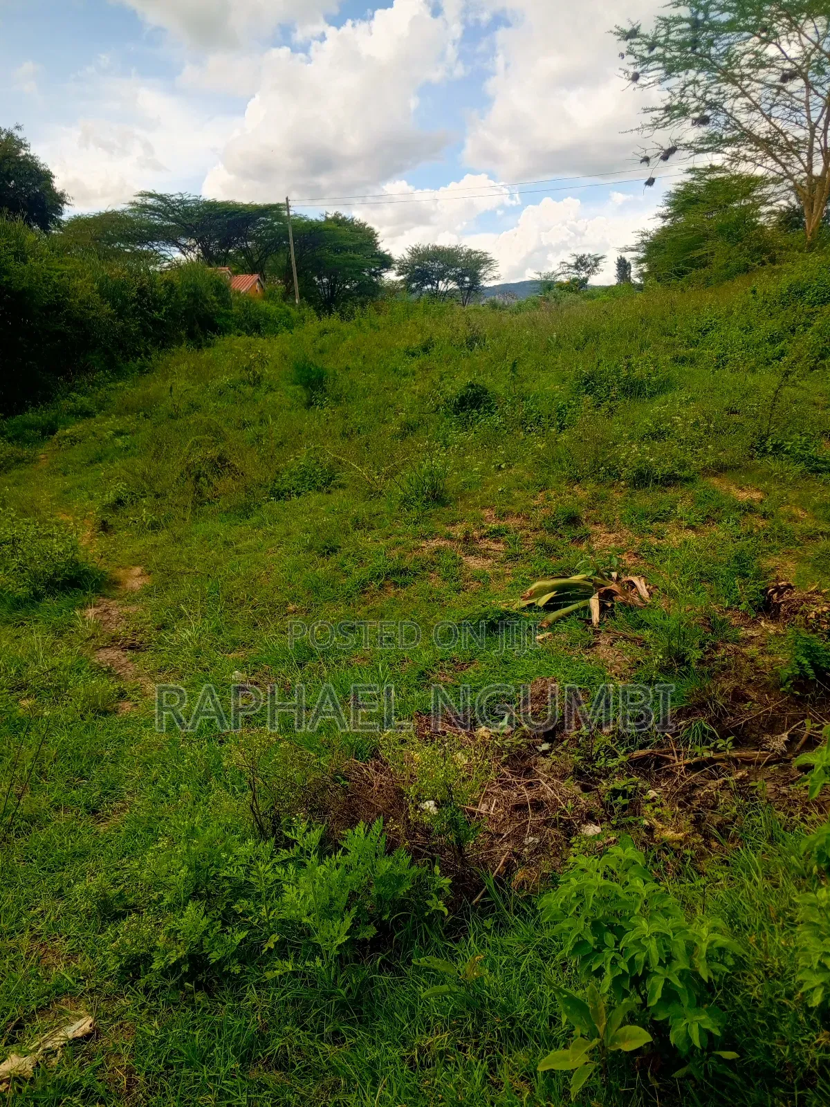50*100 Plots Machakos Town in Machakos Town