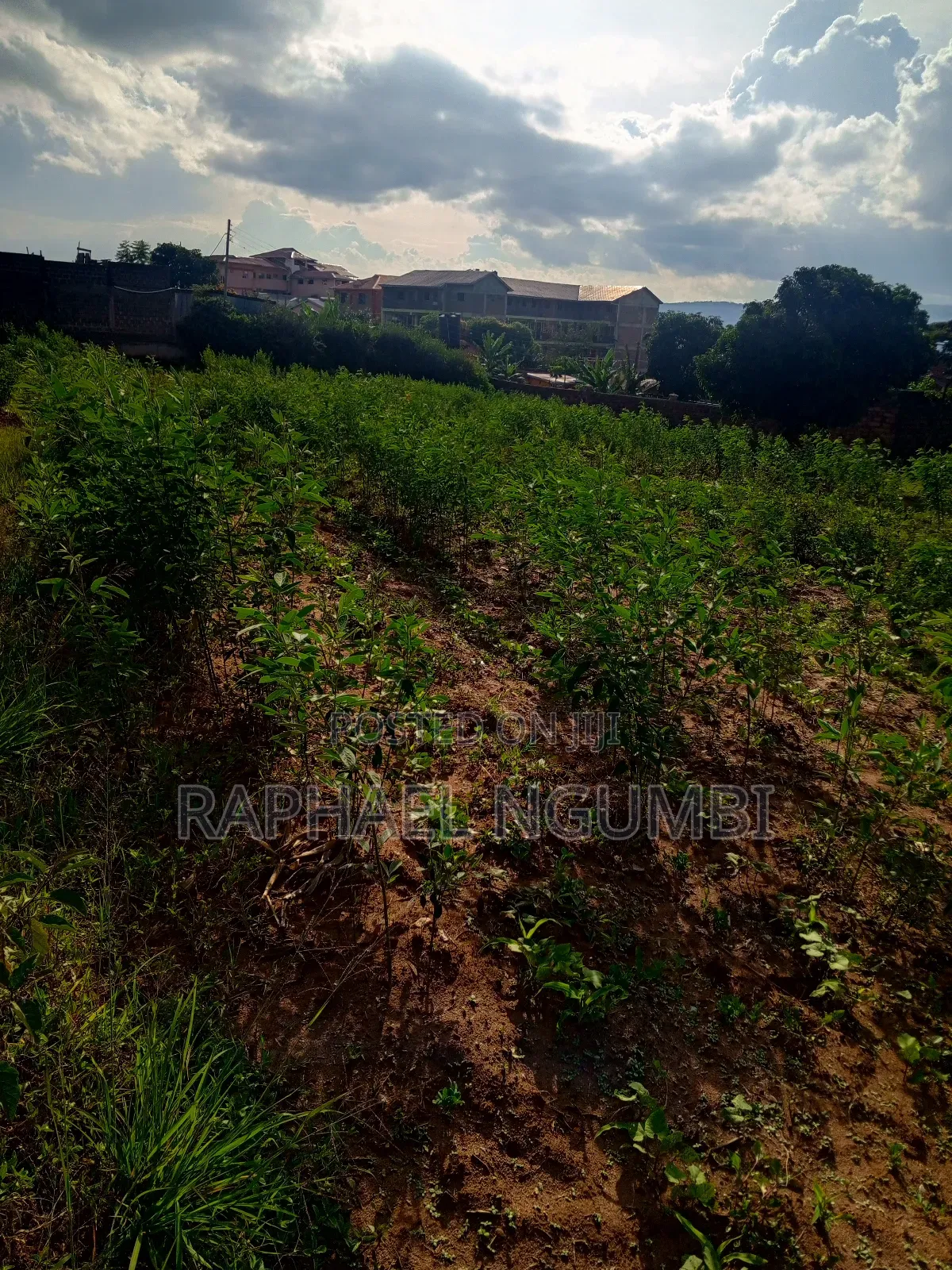 Machakos Eastleigh Plot (Kwa Nguku) in Machakos Town