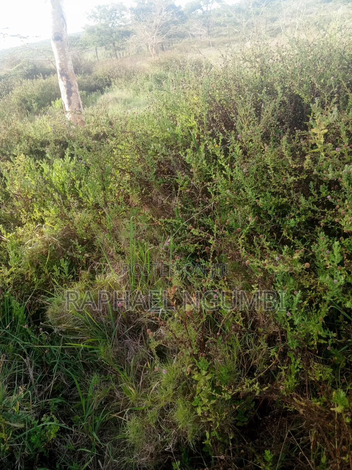10 Acres Machakos Junction (Kindaruma) in Machakos Town