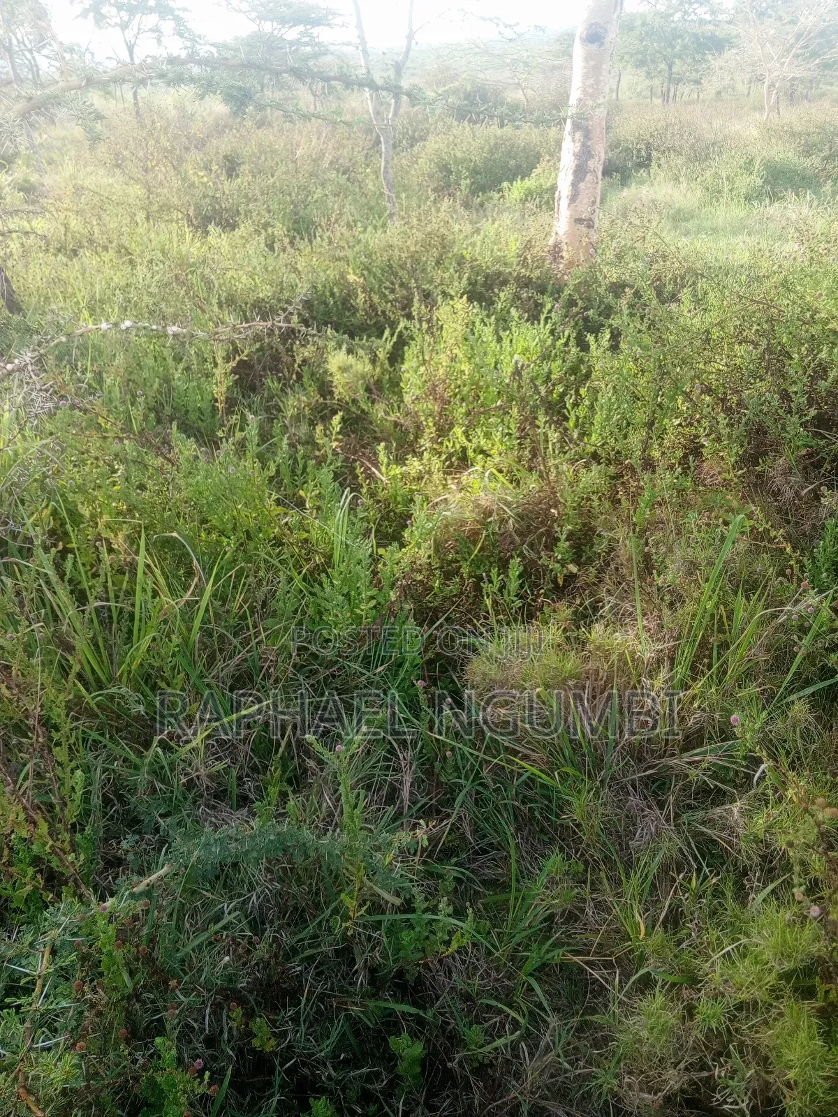 10 Acres Machakos Junction (Kindaruma) in Machakos Town