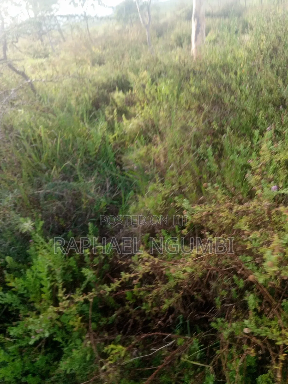 10 Acres Machakos Junction (Kindaruma) in Machakos Town