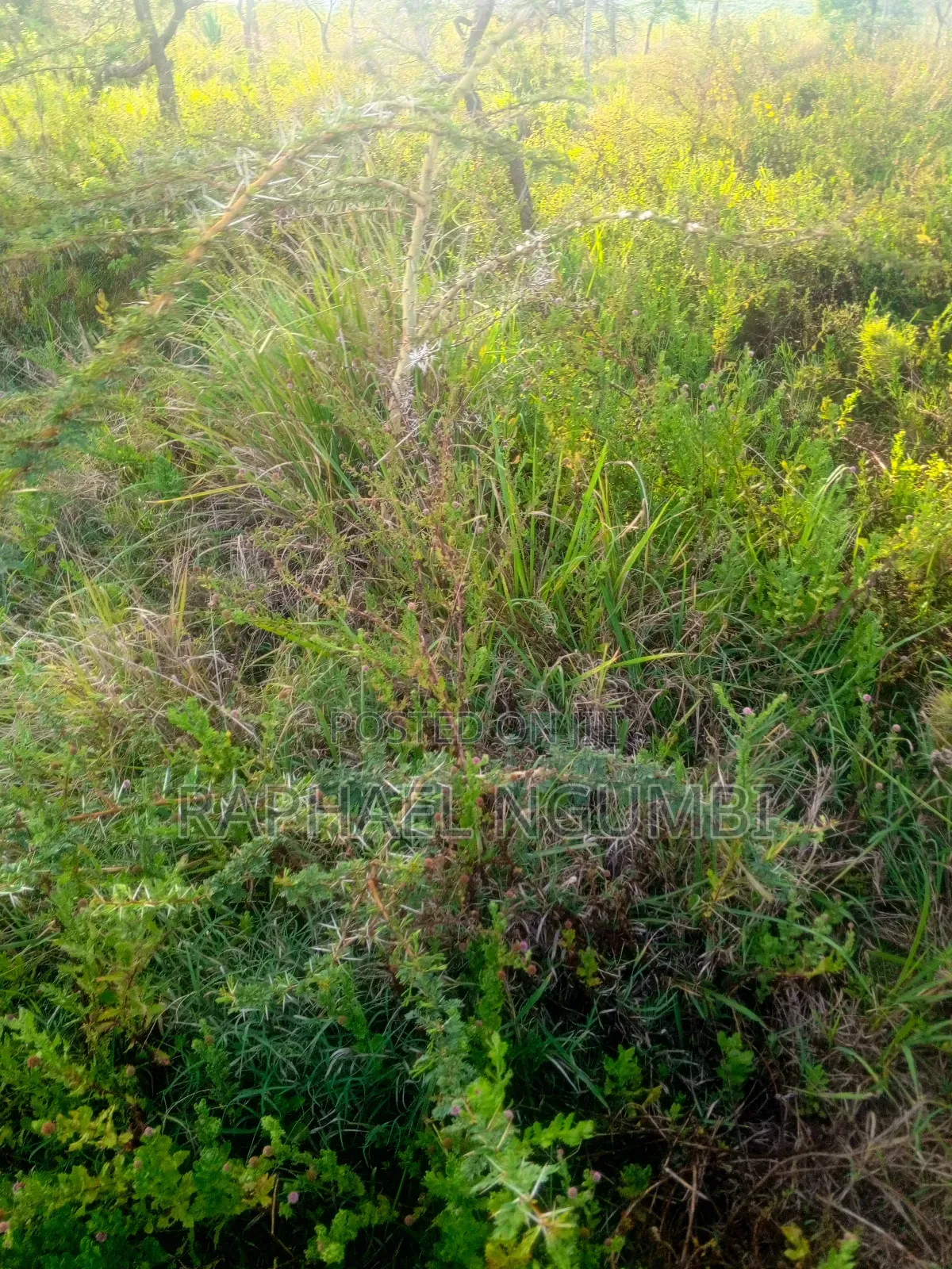 10 Acres Machakos Junction (Kindaruma) in Machakos Town