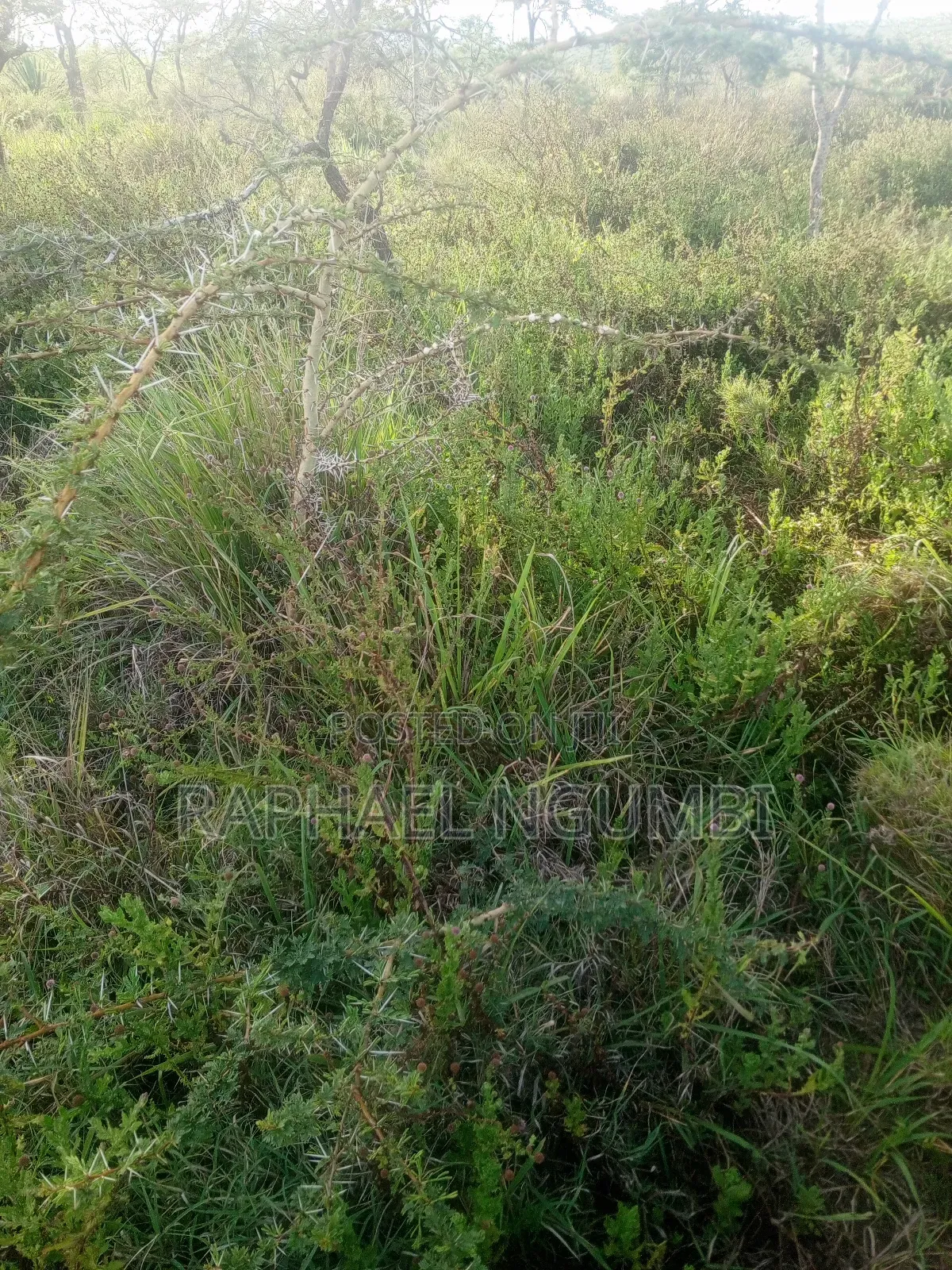 10 Acres Machakos Junction (Kindaruma) in Machakos Town
