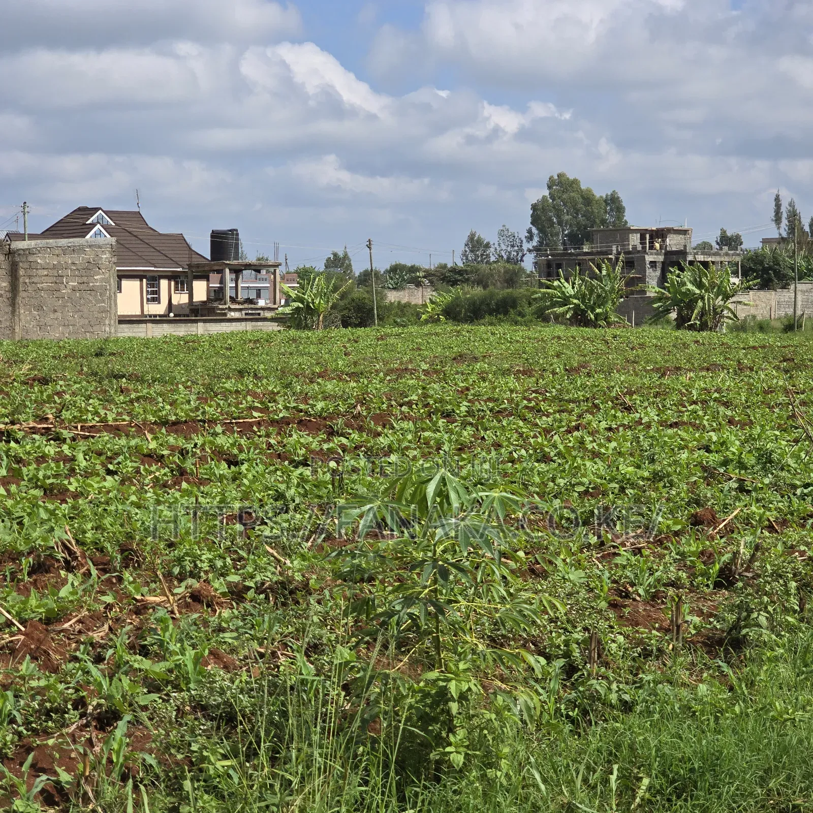Residential Plots in Ruiru-Mugutha ^Jm in Kimbo