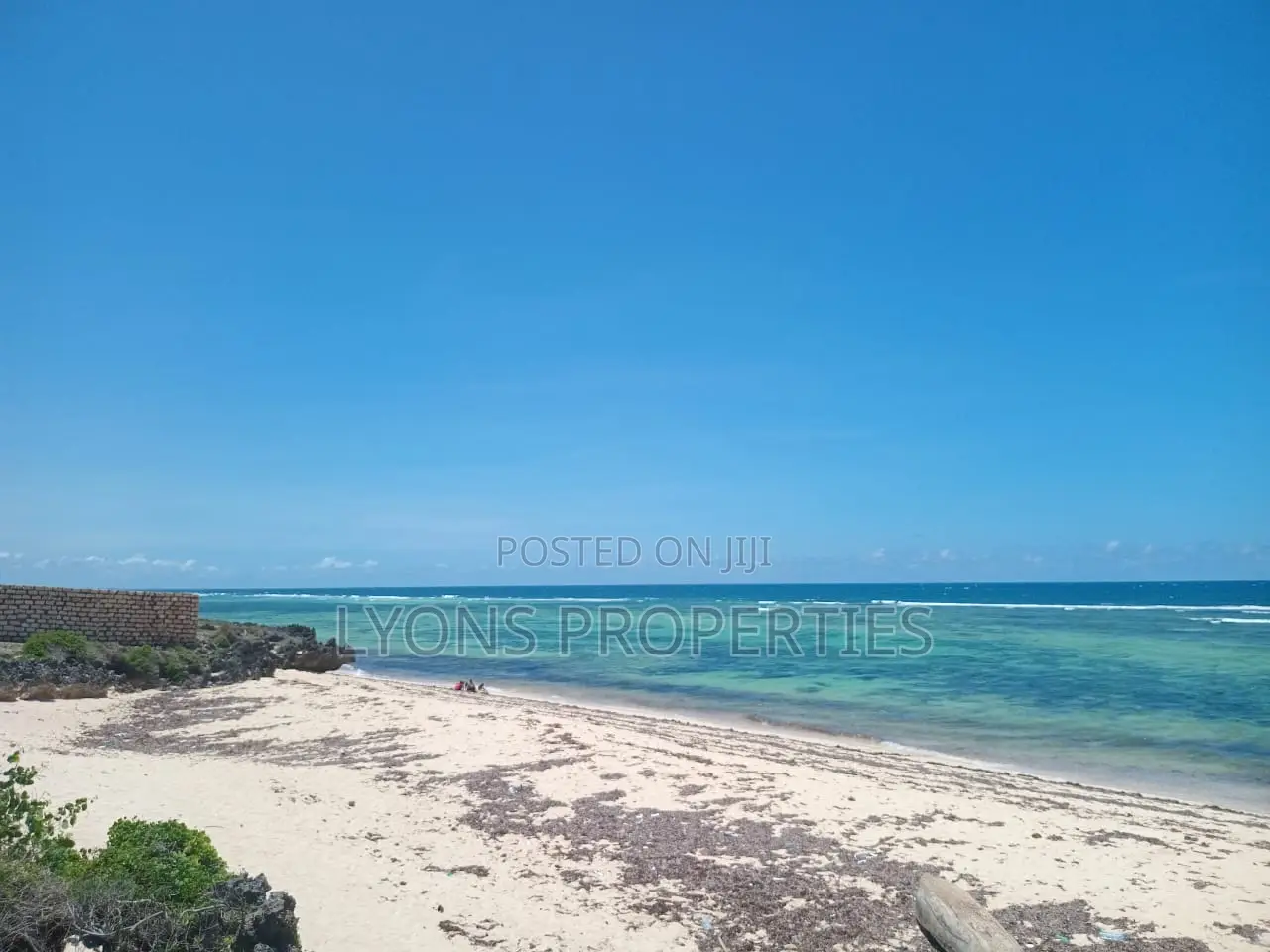 9 Acrea Coral Beach Plot for Sale in Matsangoni