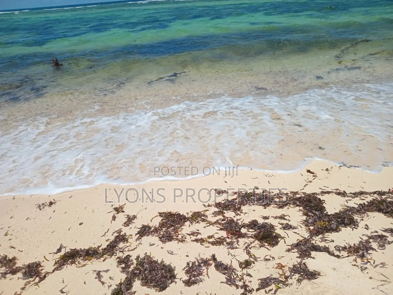9 Acrea Coral Beach Plot for Sale in Matsangoni