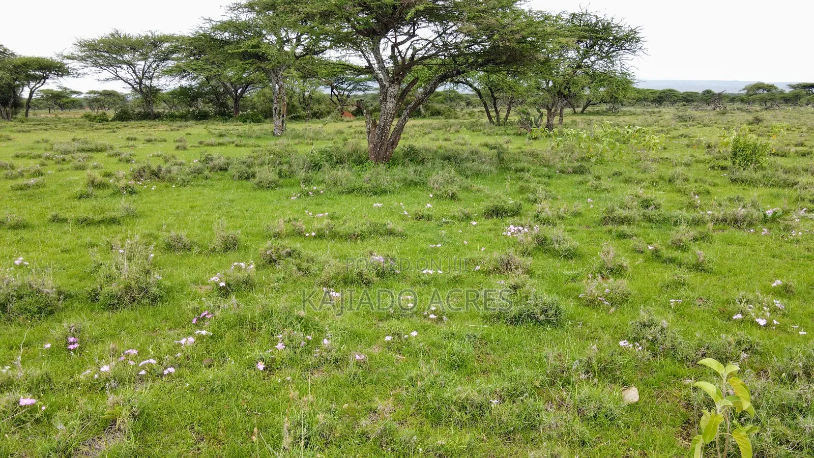 Prime 2 Acres Touching Ewuaso-Najile Road in Ewuaso Oonkidong'I